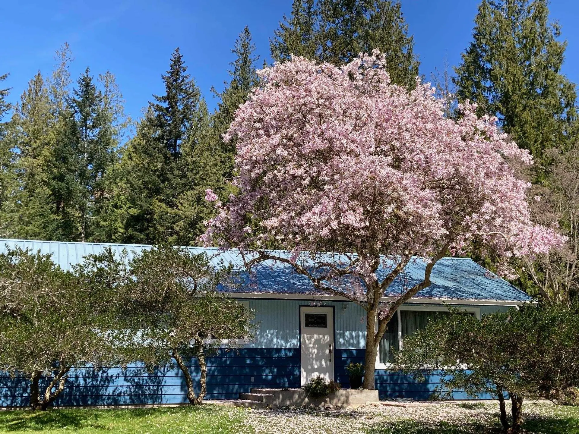 Property at 4569 Francis Peninsula Road, Madeira Park, BC
