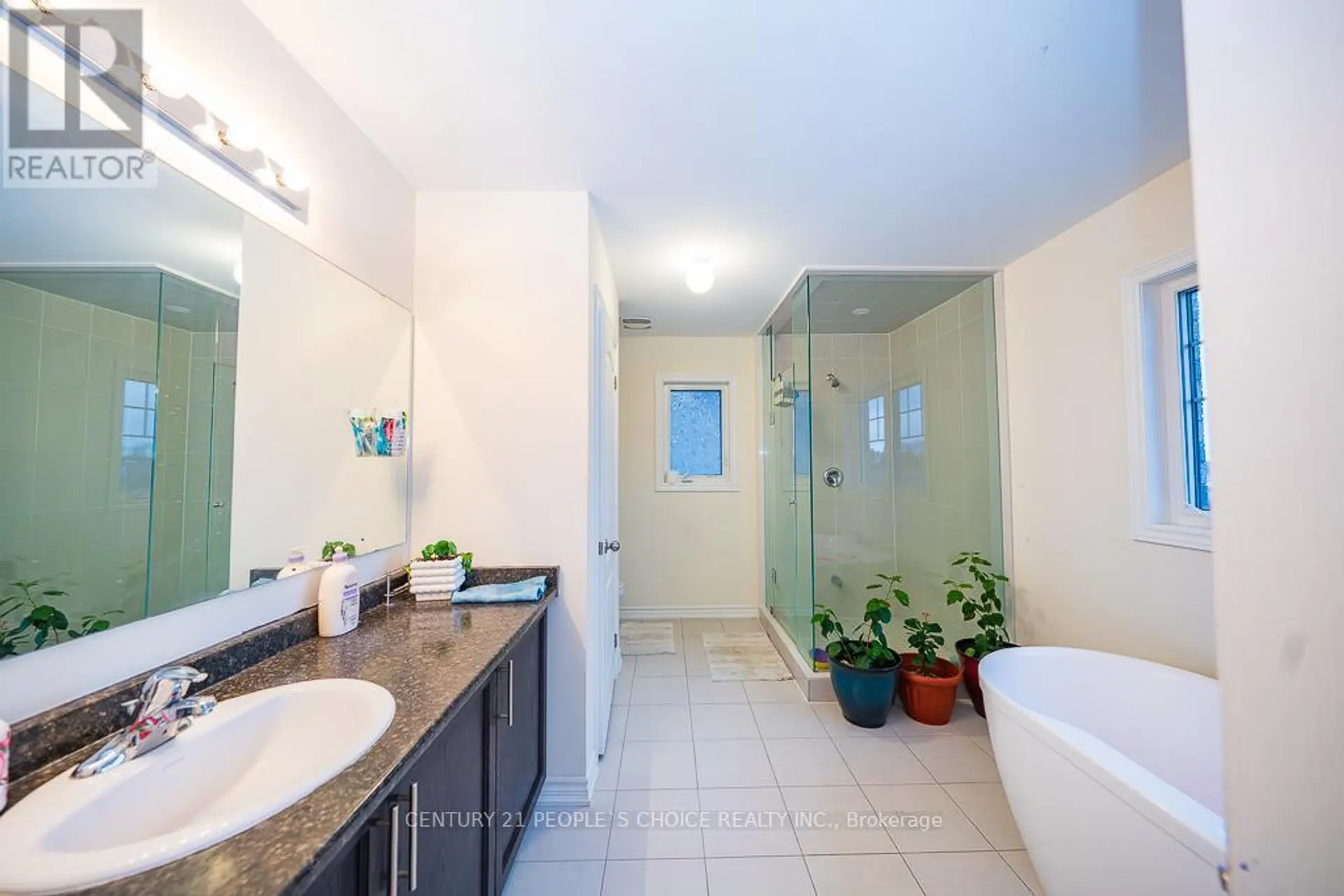 83 ROBIN TRAIL - Image 10