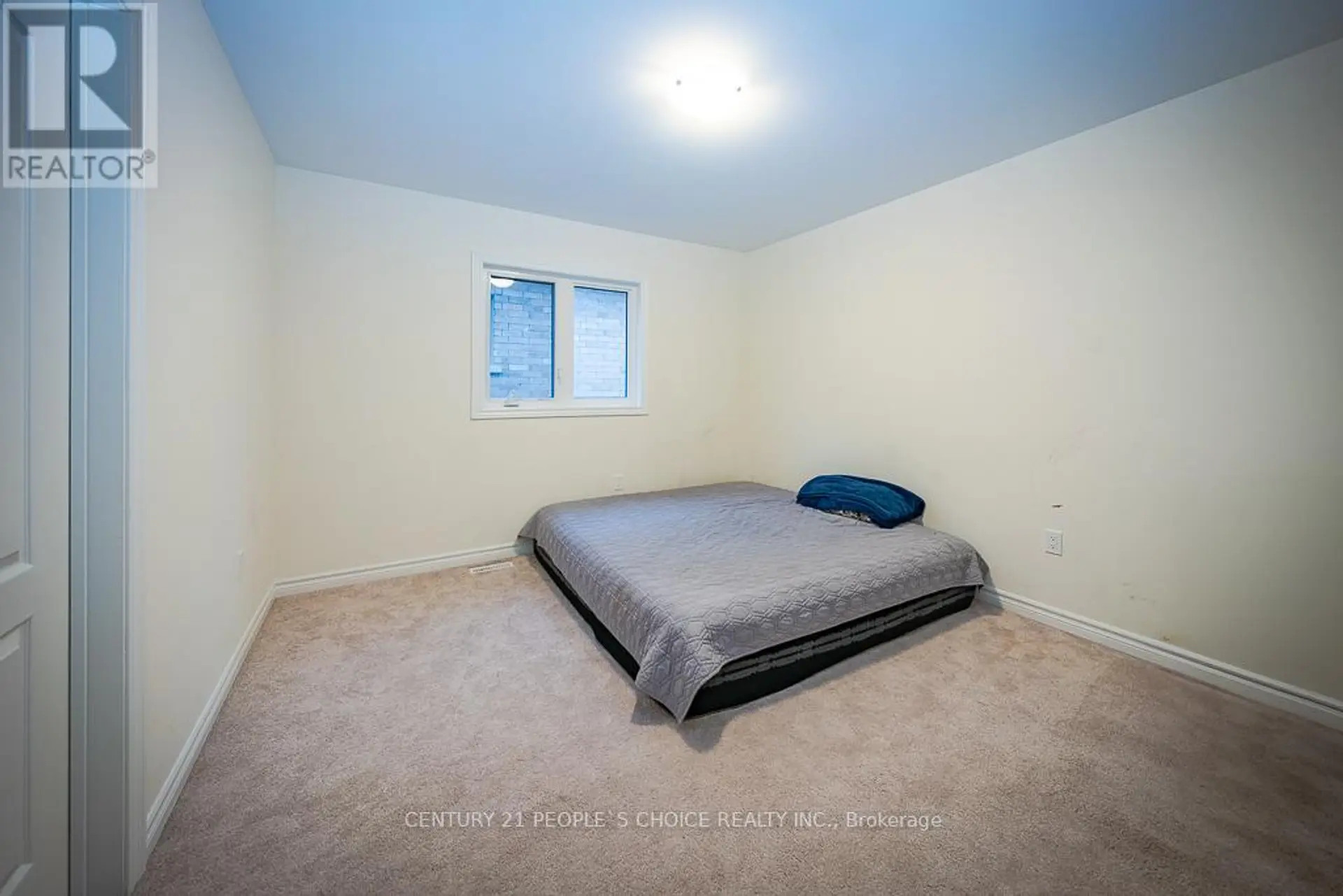 83 ROBIN TRAIL - Image 12