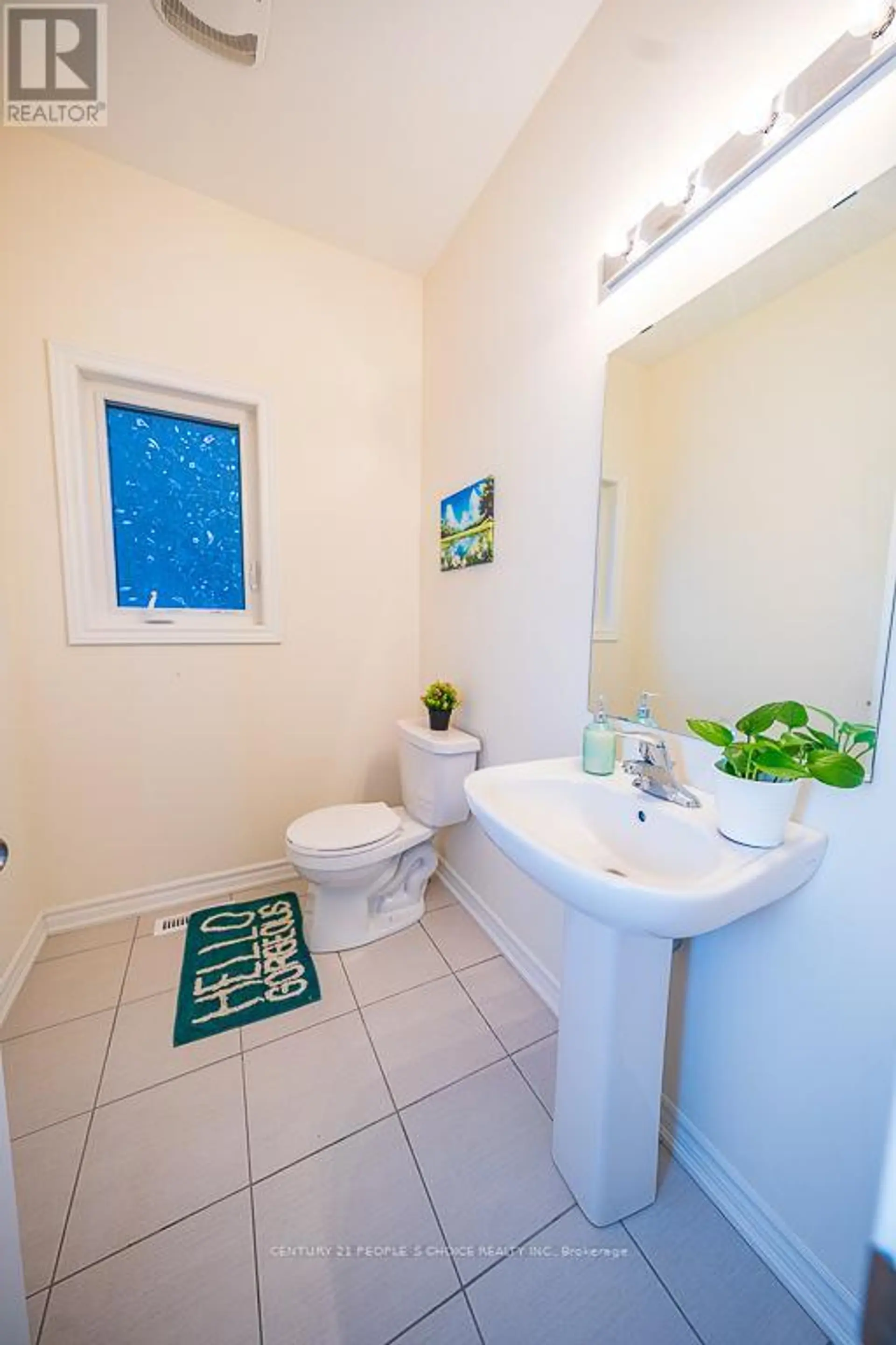 83 ROBIN TRAIL - Image 13