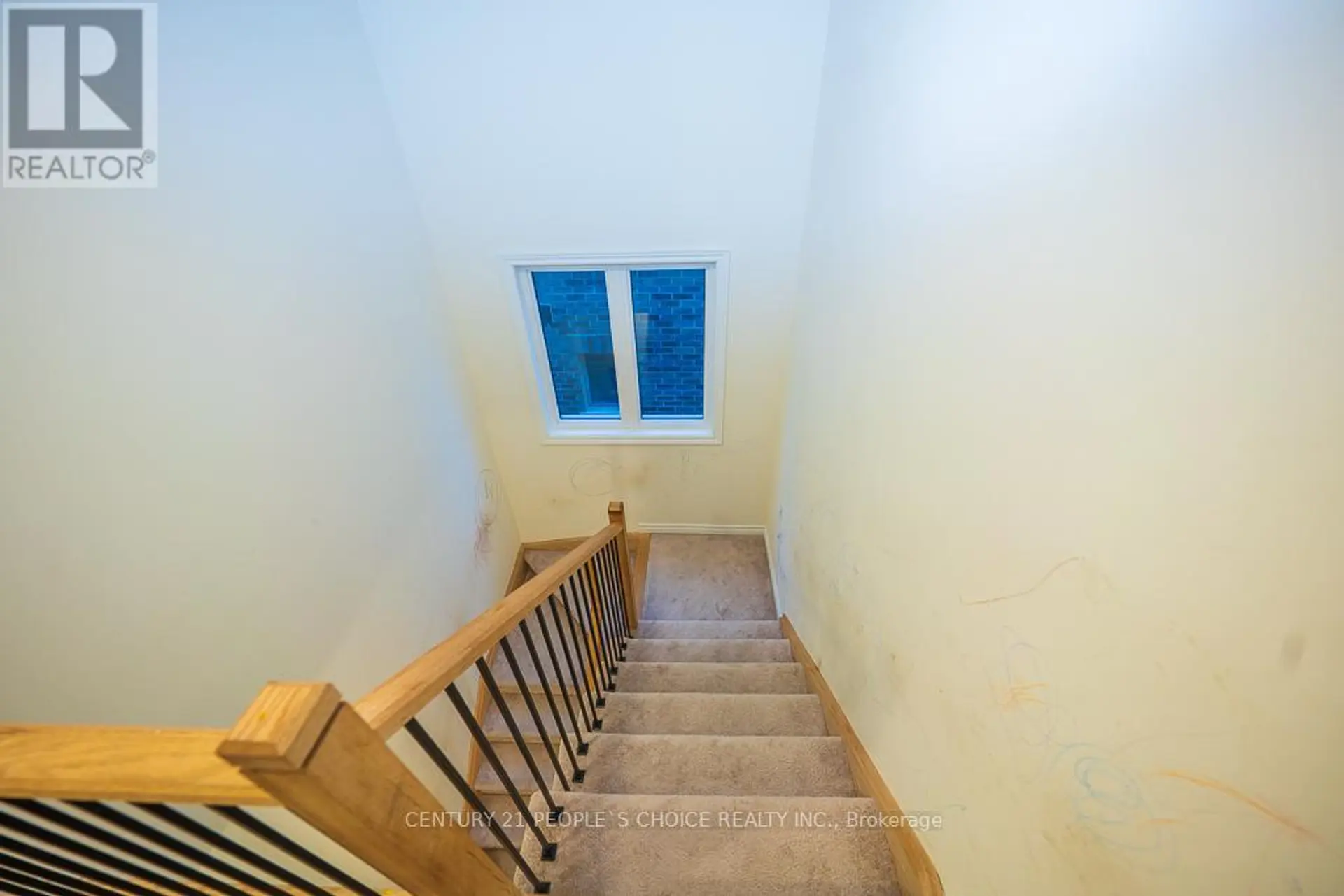 83 ROBIN TRAIL - Image 7