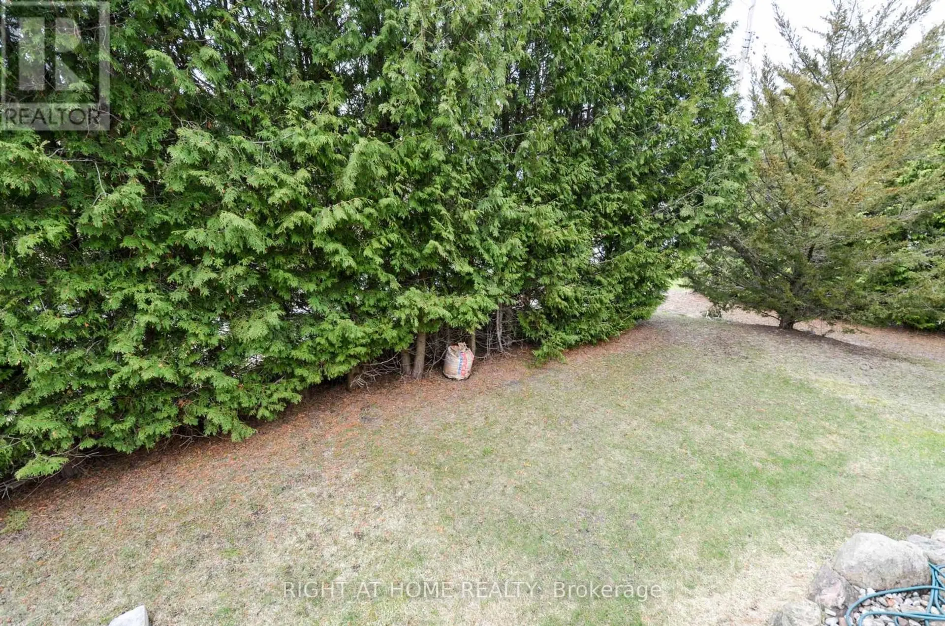 49 WINFIELD DRIVE - Image 14