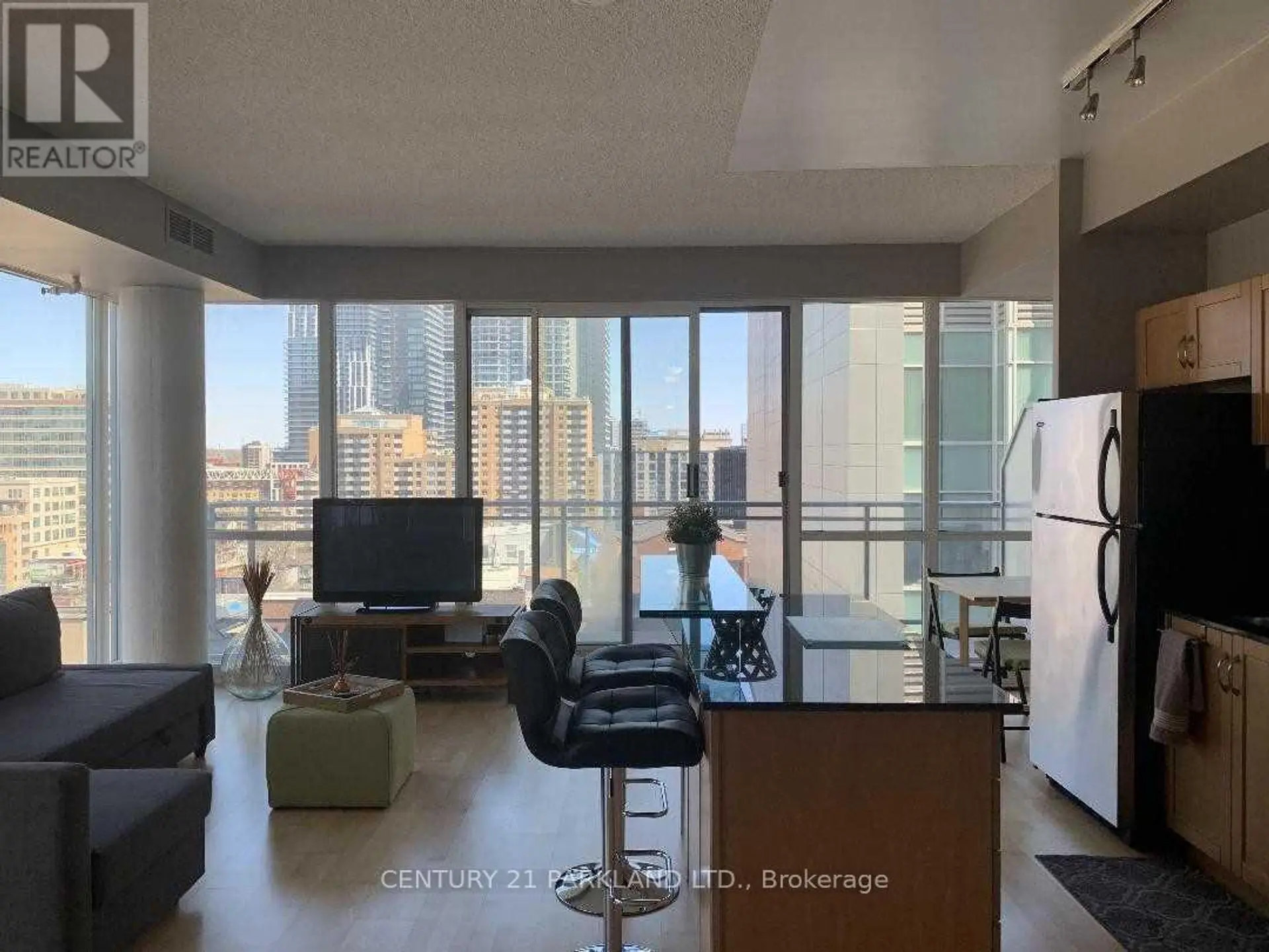 #1101 220 VICTORIA STREET - Image 6