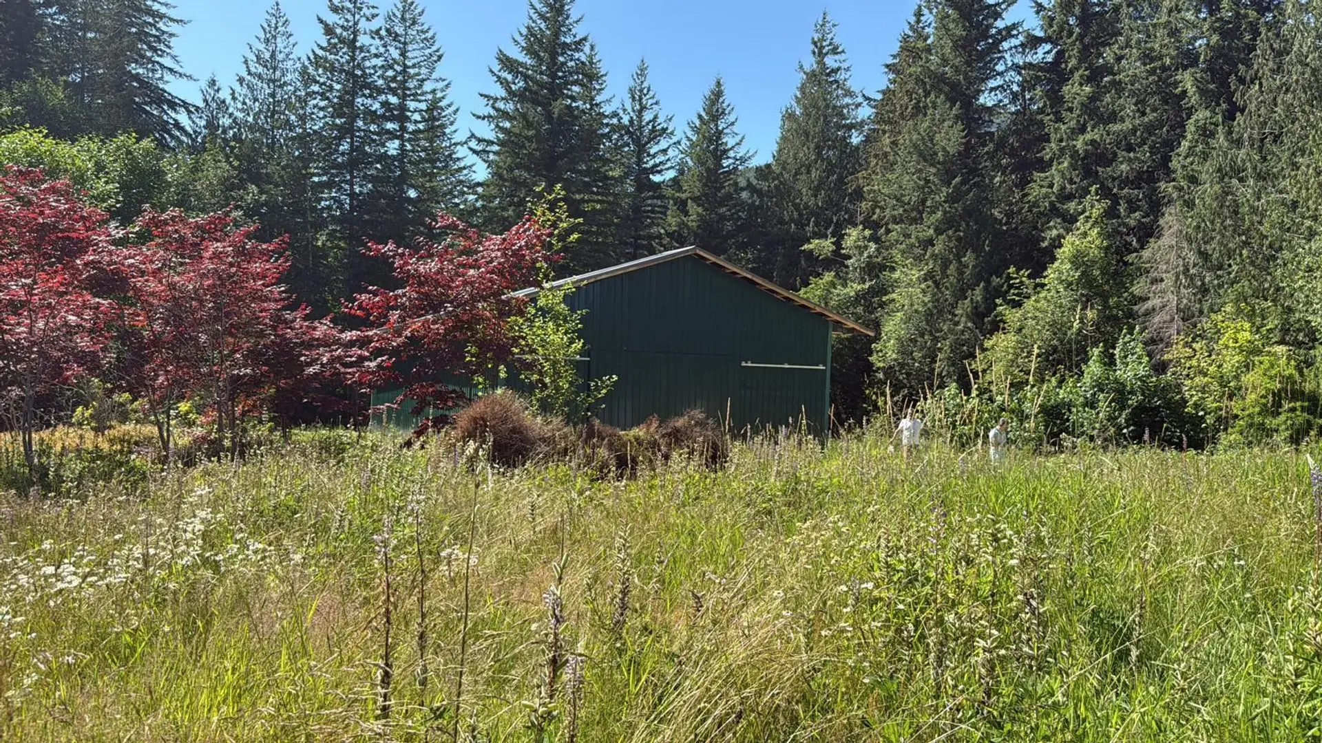 Property at 1153 Kosikar Road, Columbia Valley, BC
