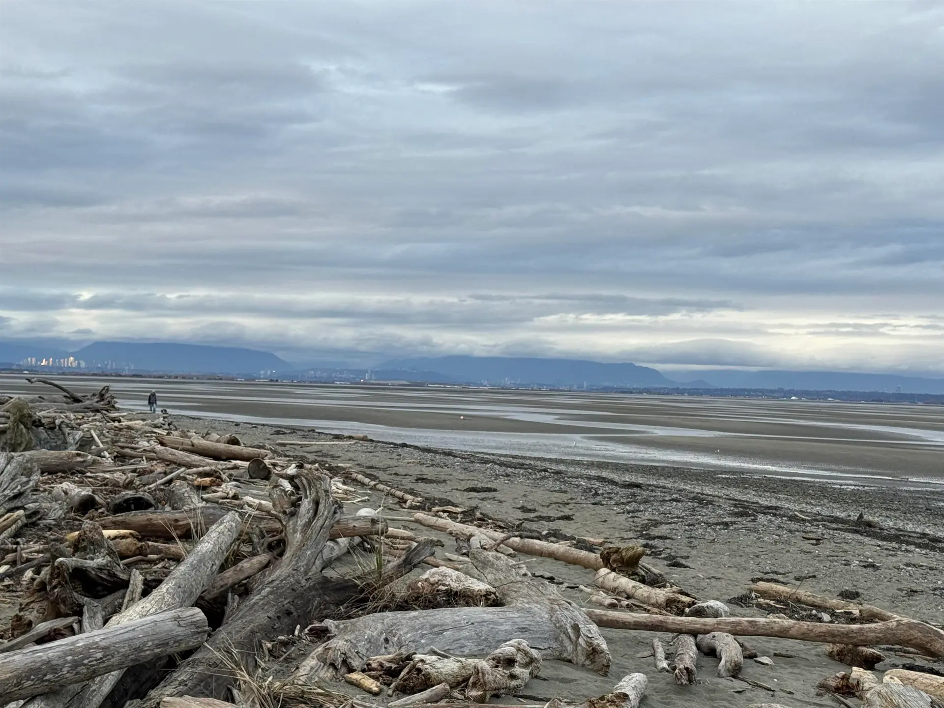 Property at 225 67a Street, Delta, BC