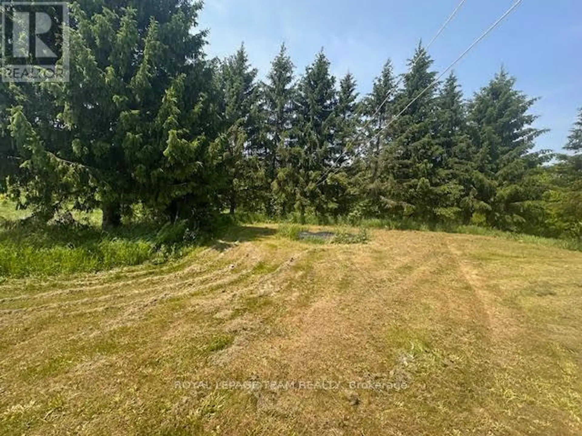 5296 PANMURE ROAD - Image 8