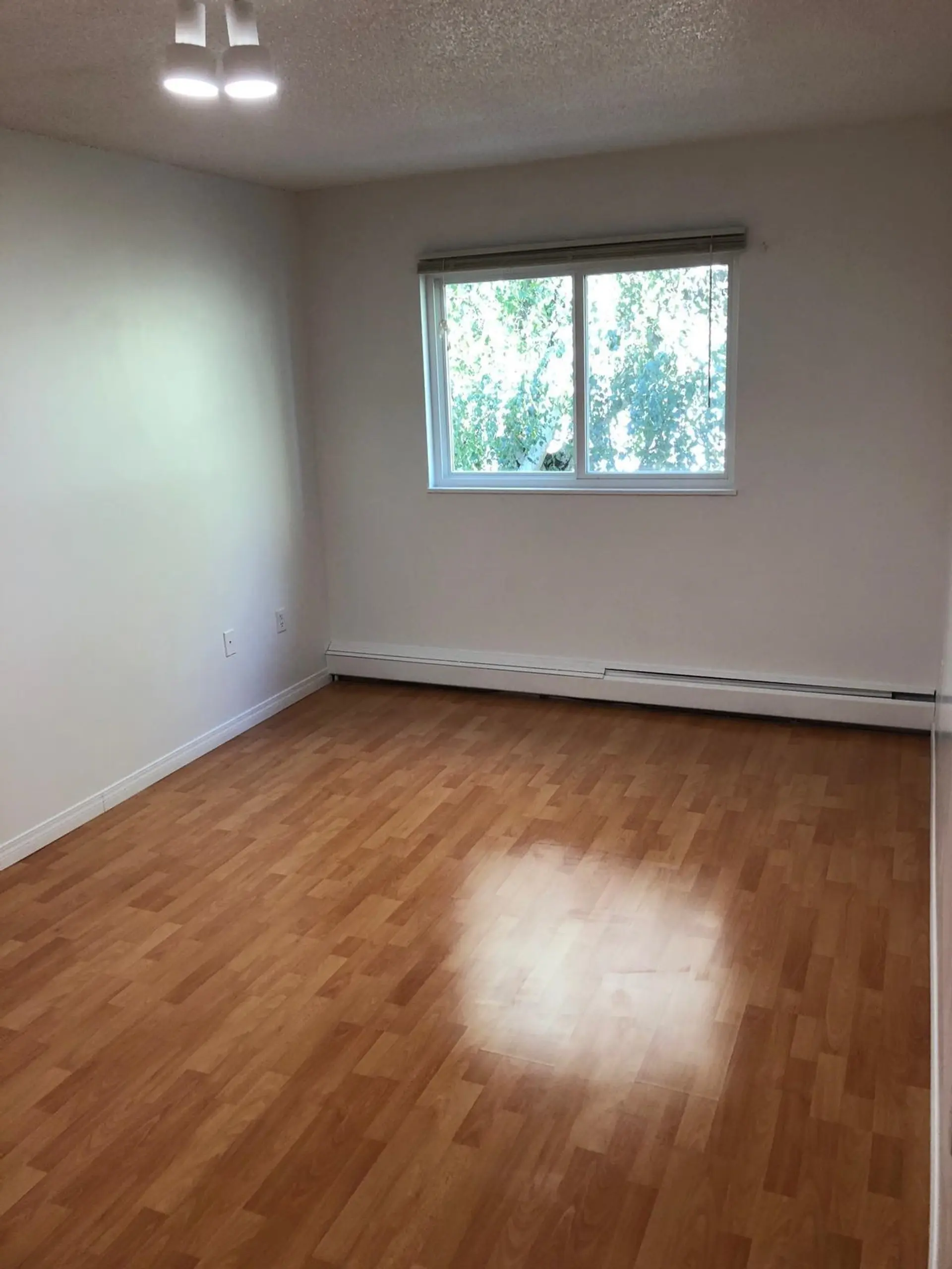 #356 8131 Ryan Road - Image 3