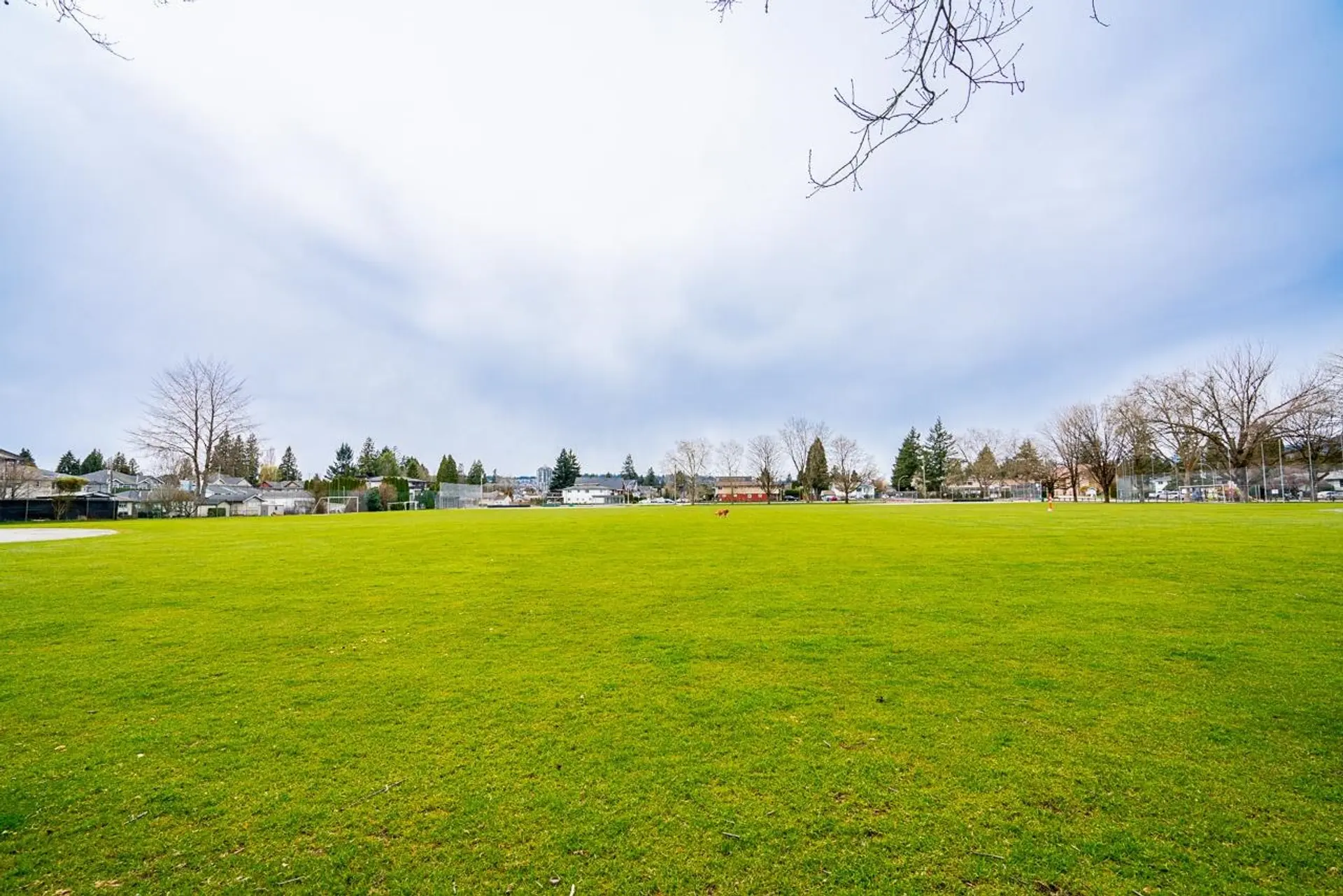 #3 3126 Wellington Street - Image 8