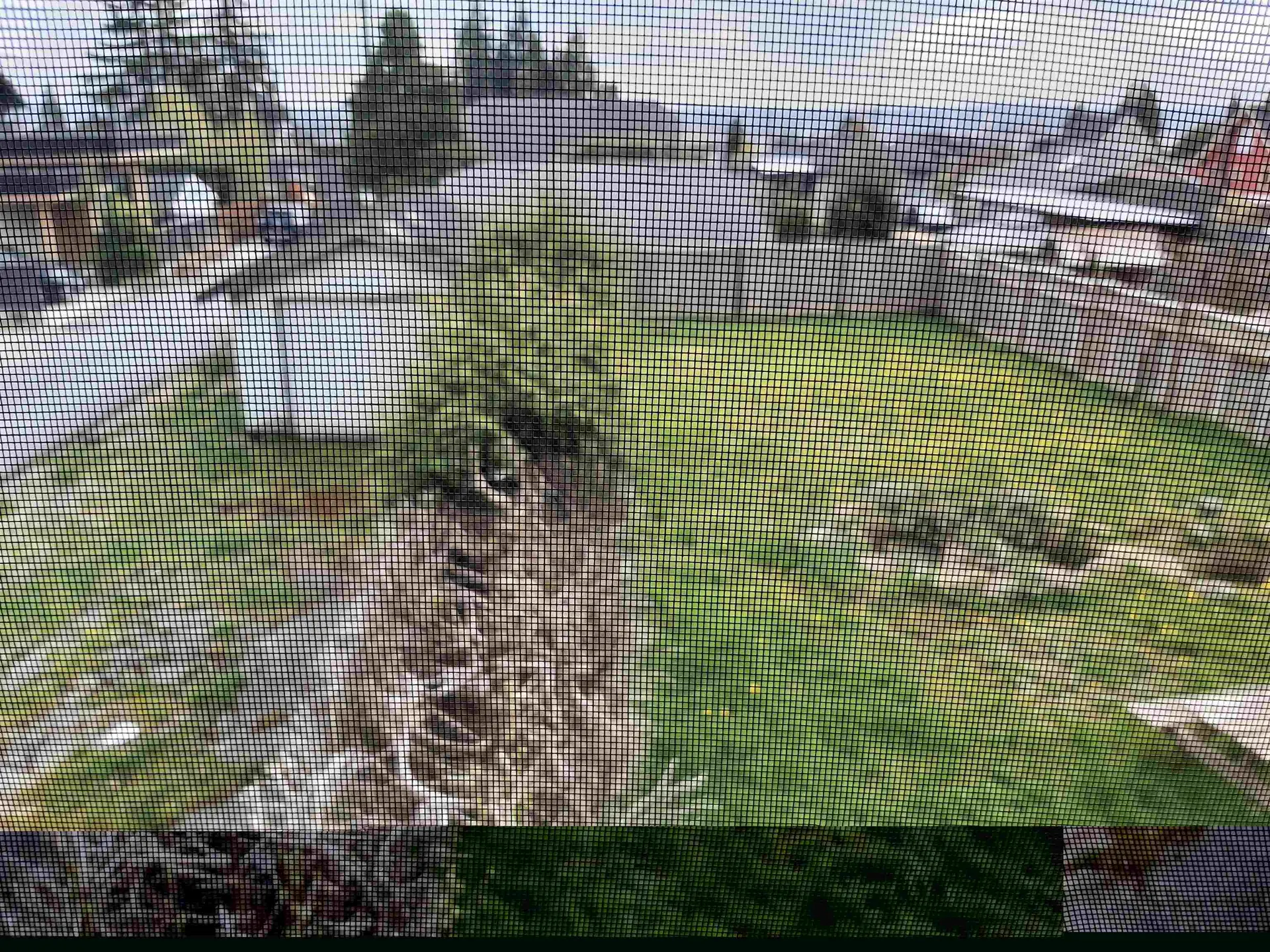 535 E 8th Street - Image 3