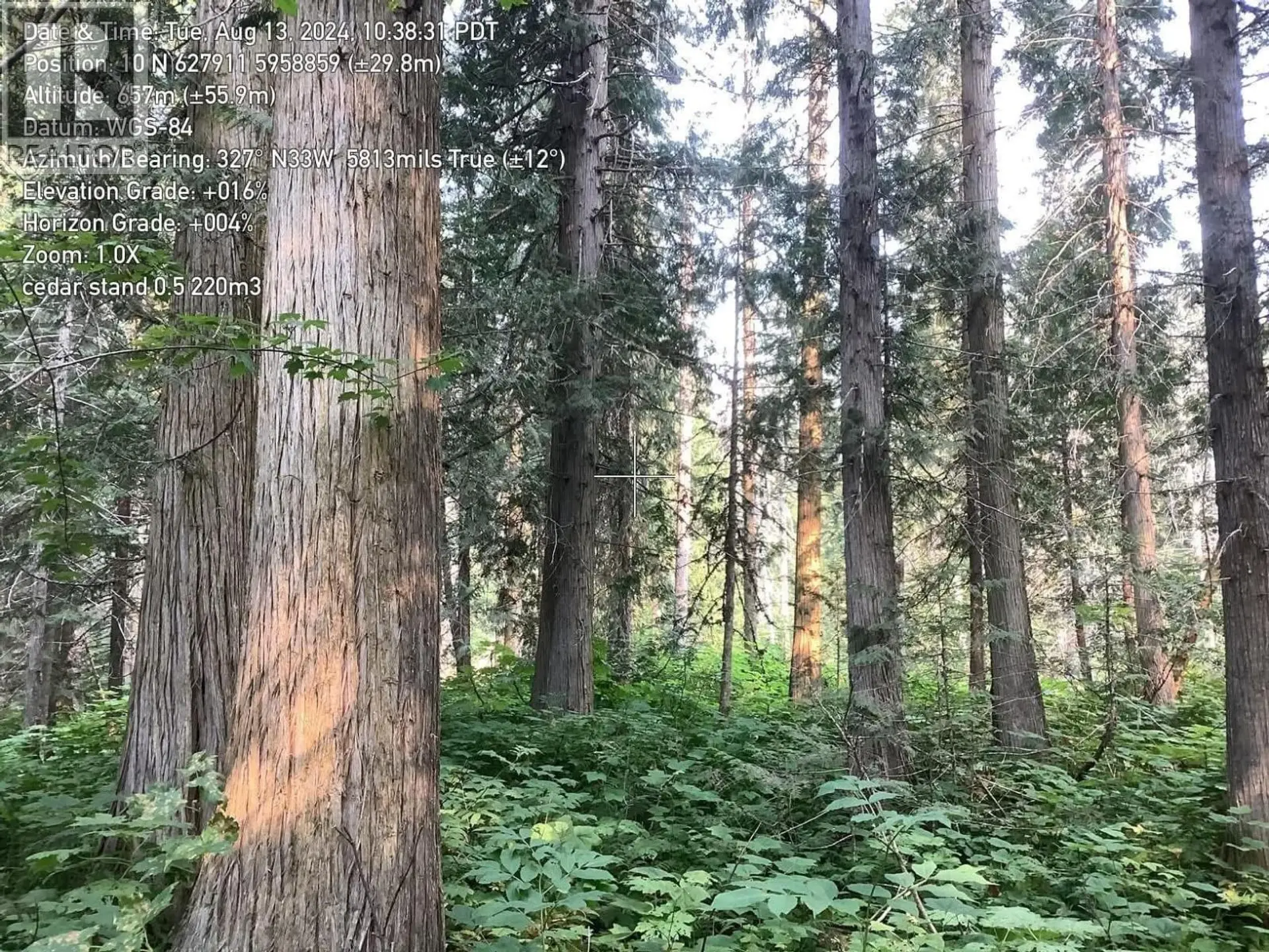 BLK D DOME CREEK - Image 14