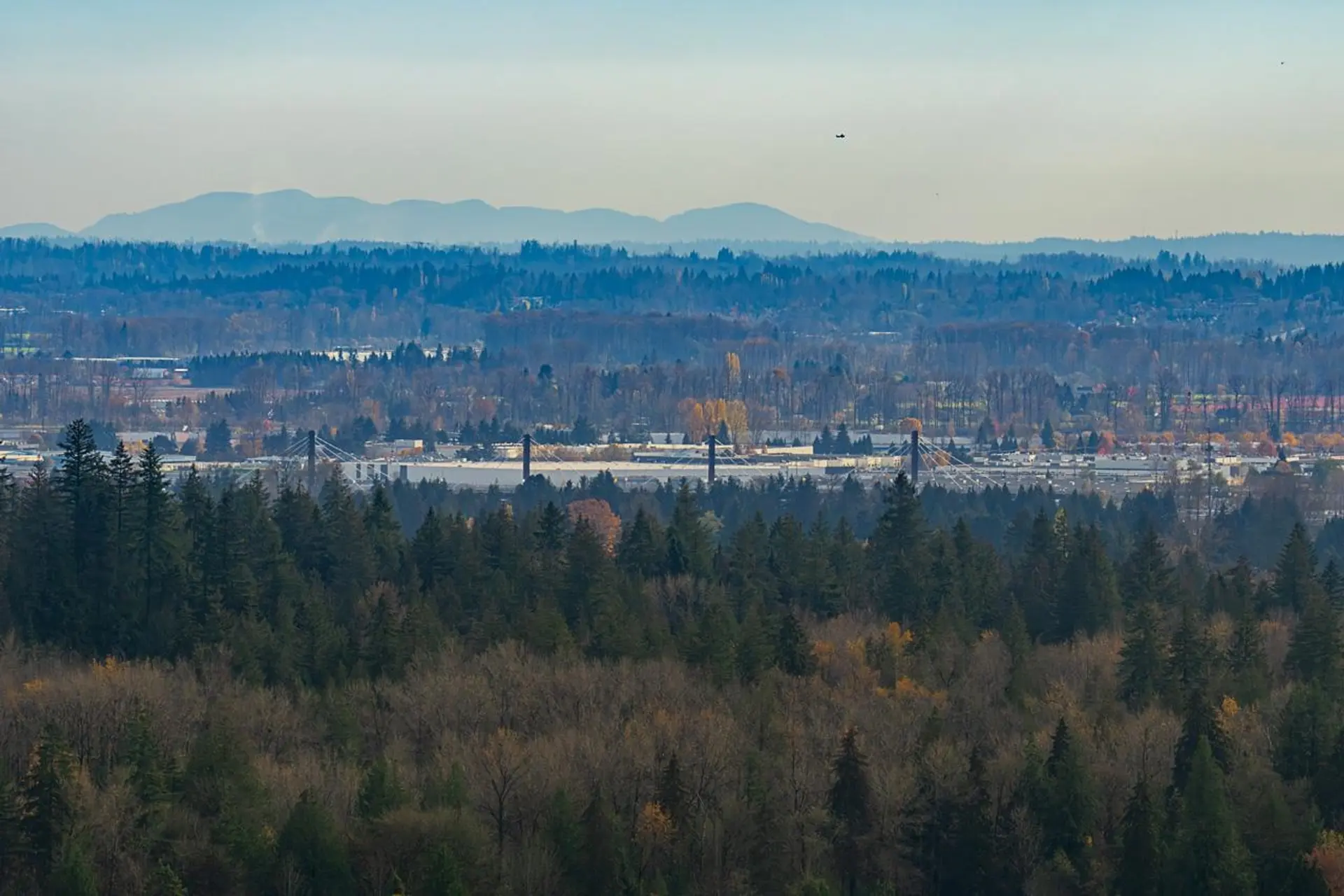 Property at 3126 Silverthrone Drive, Coquitlam, BC