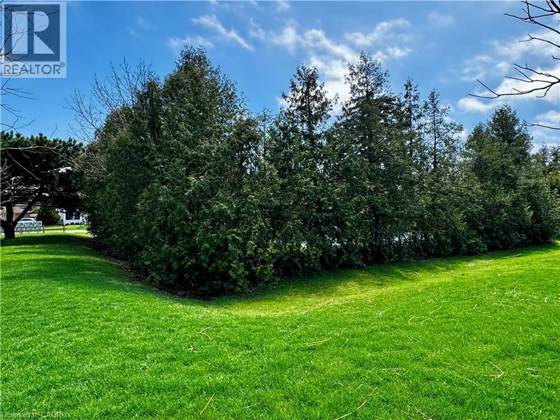 2075 SEABROOK Drive - Image 7