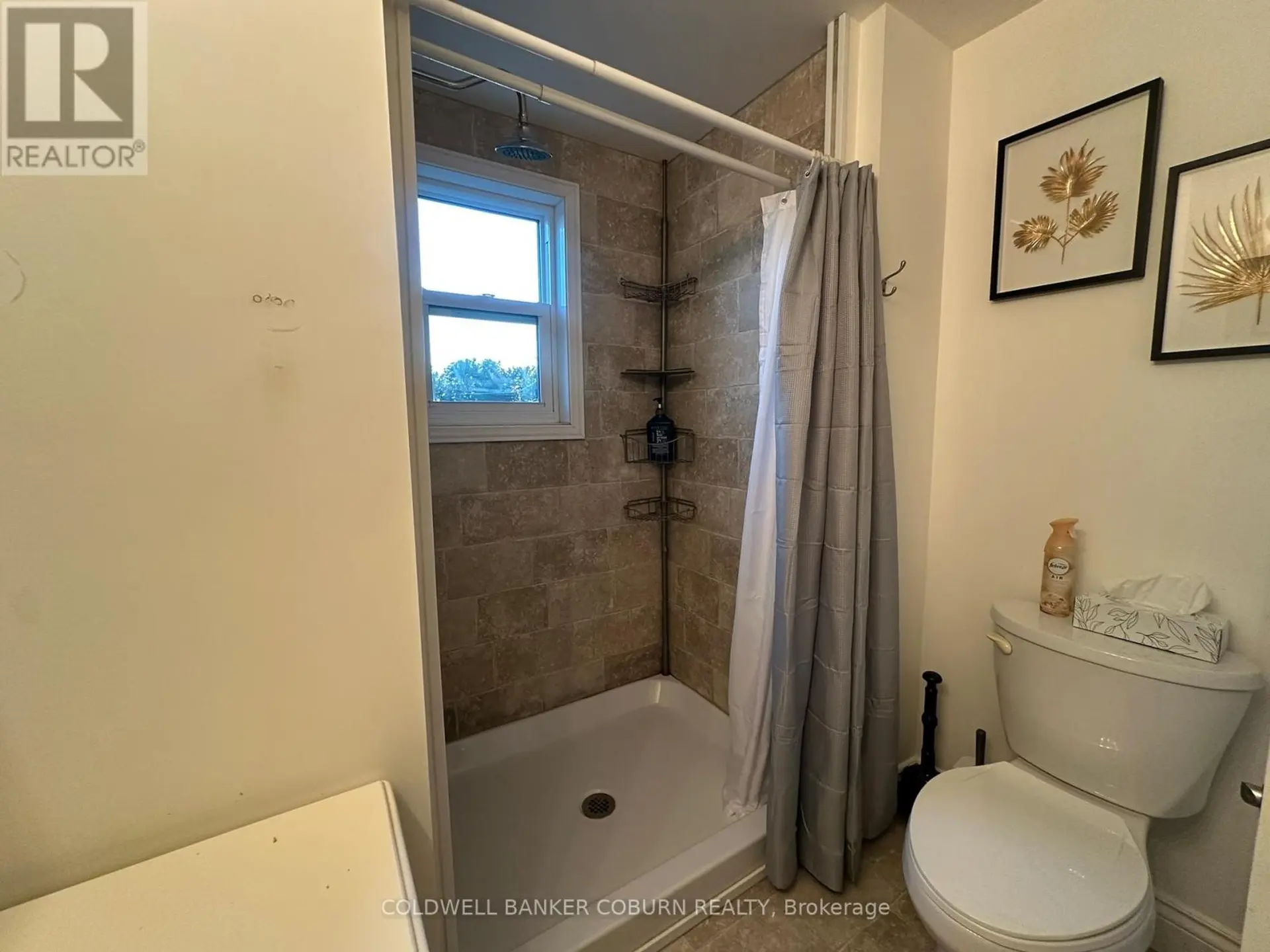 22 CASSELMAN ROAD - Image 10