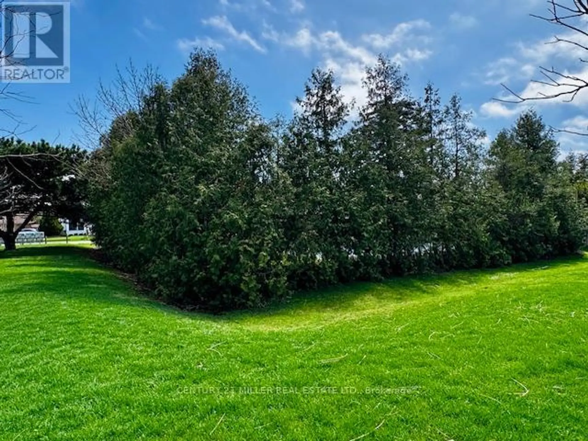 2075 SEABROOK DRIVE - Image 7