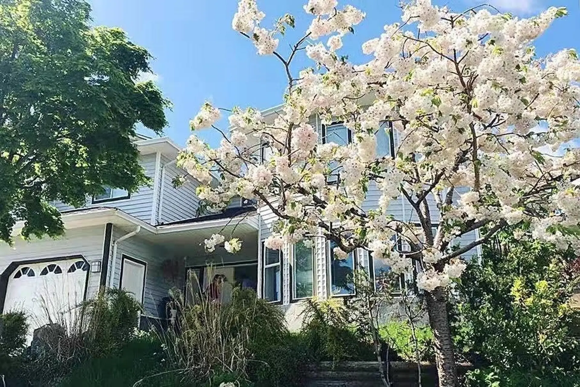 Property at 2655 Delahaye Drive, Coquitlam, BC