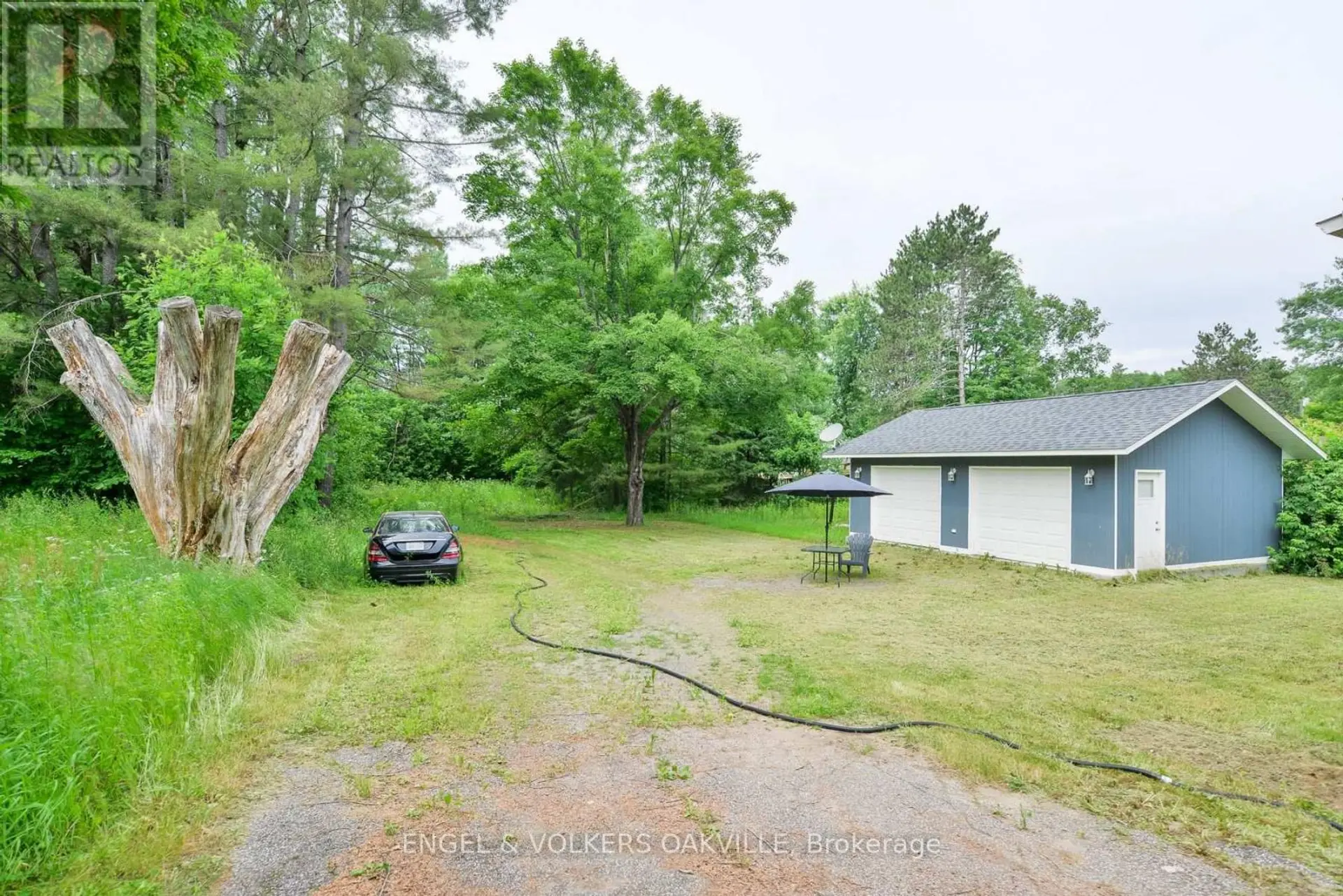 253 MAPLE STREET - Image 4