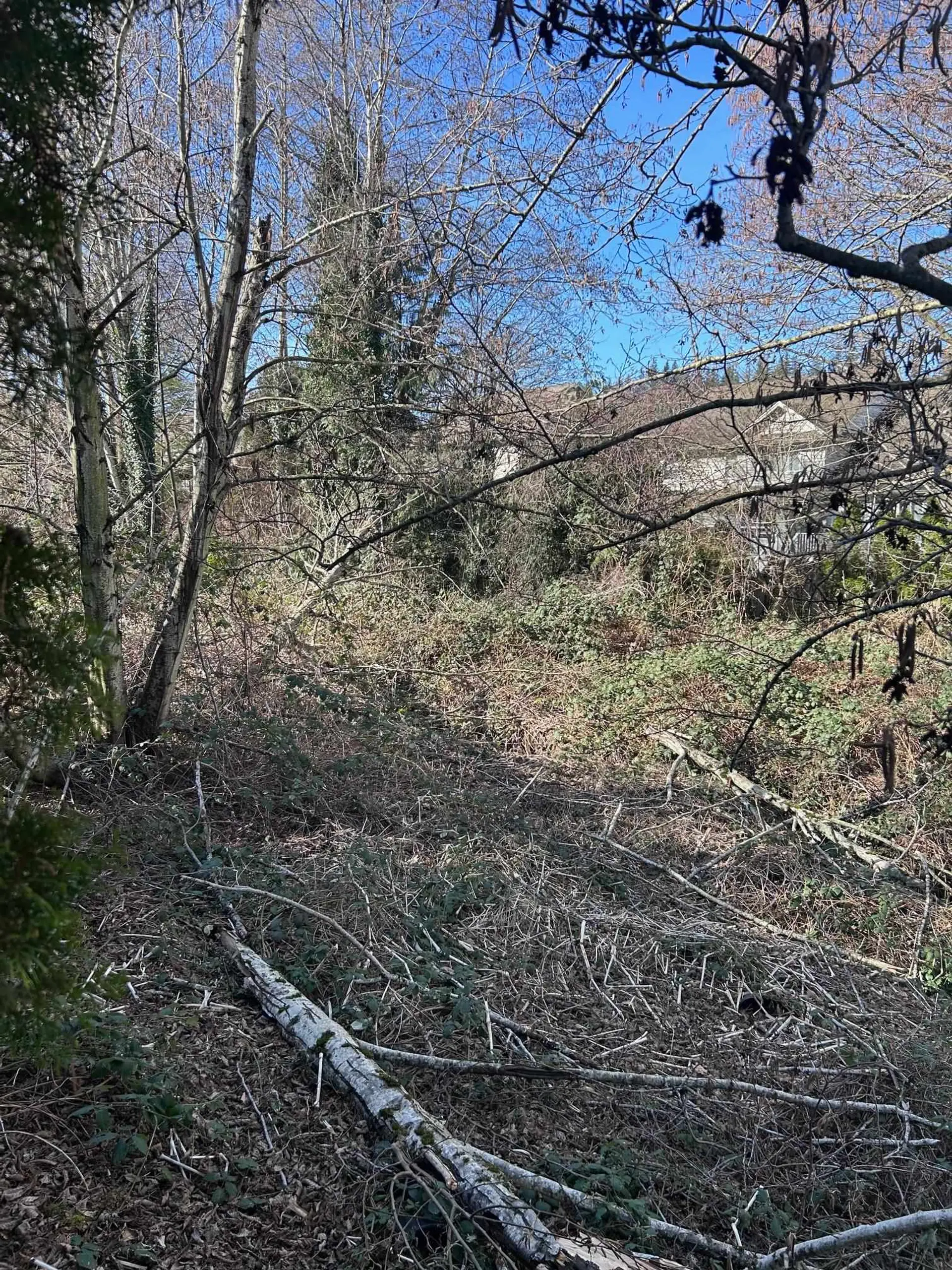 46326 Valleyview Road - Image 7