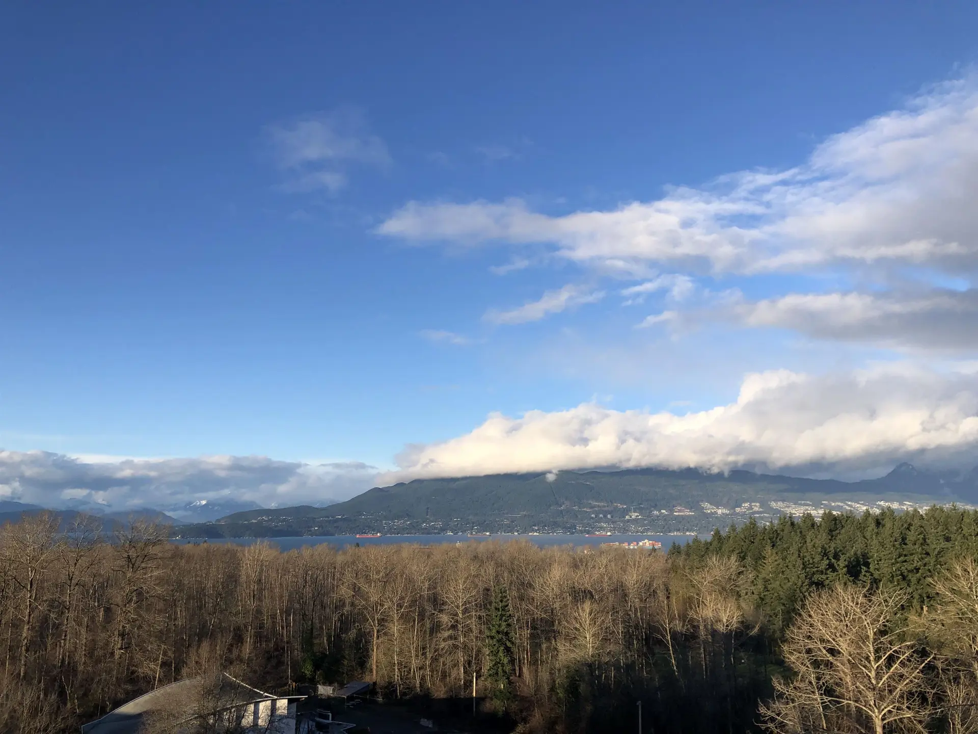 Property at #1303 5410 Shortcut Road, Vancouver, BC