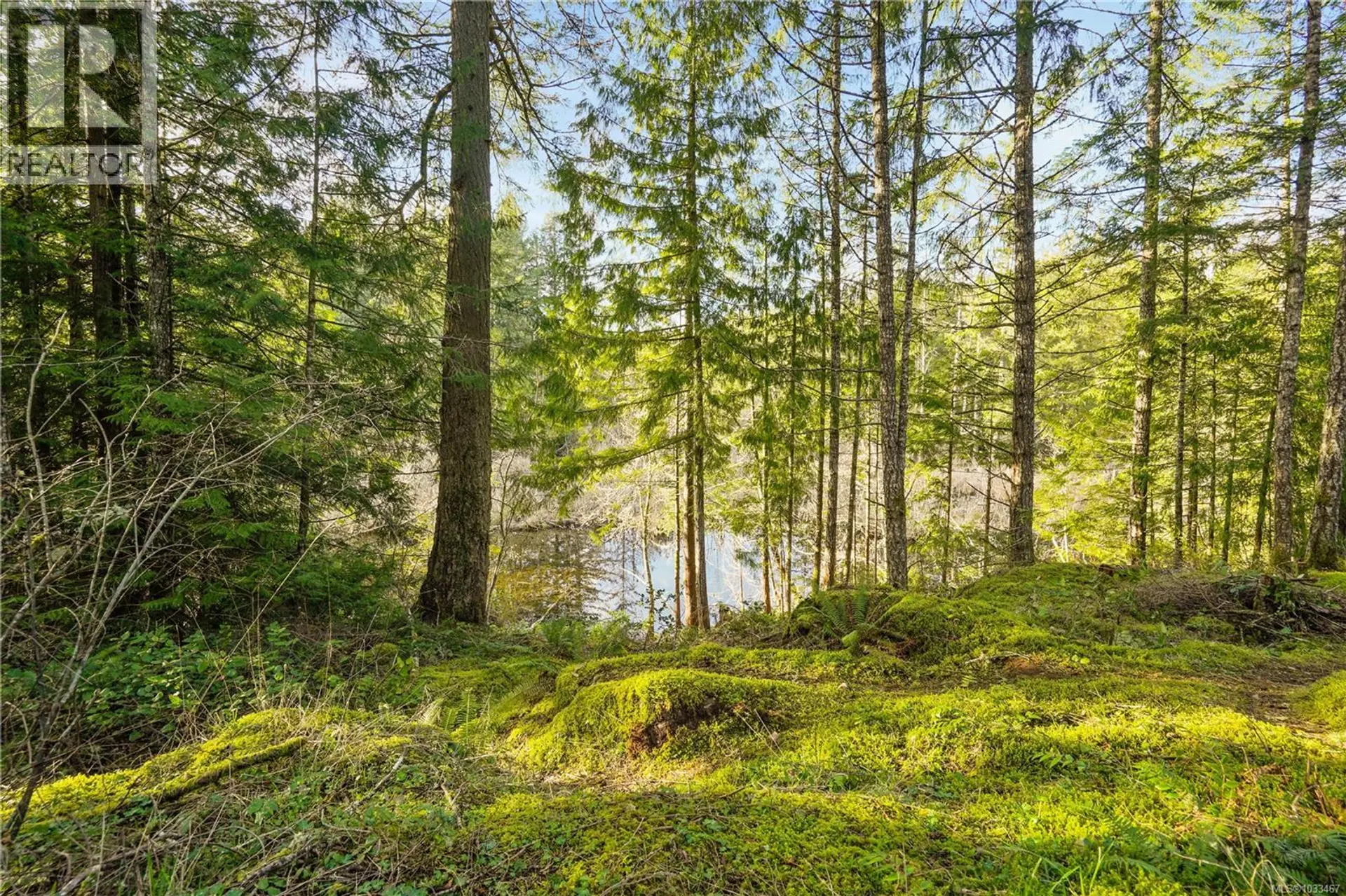 Property at 3383 Lakeridge Pl, Highlands, BC