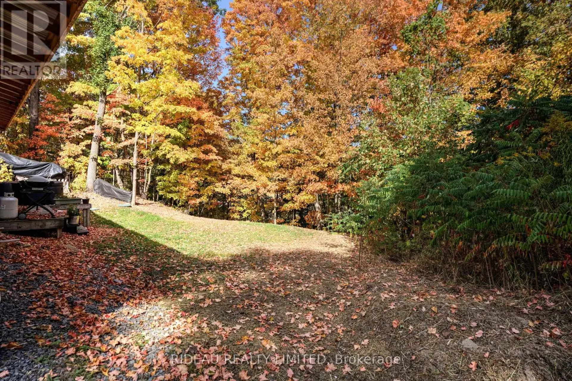 24 BRIAR HILL ROAD - Image 14