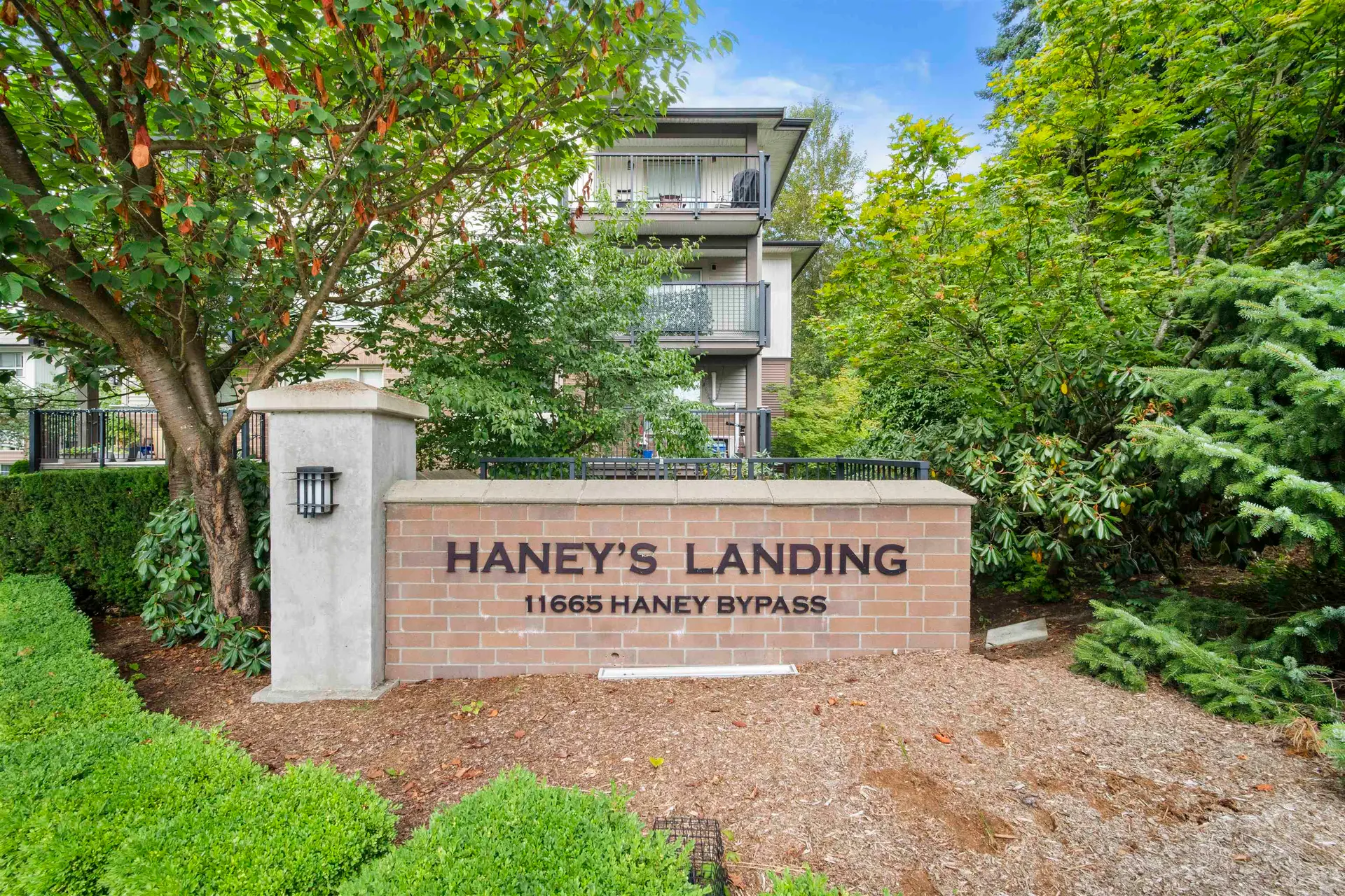 #304 11665 Haney Bypass - Image 4