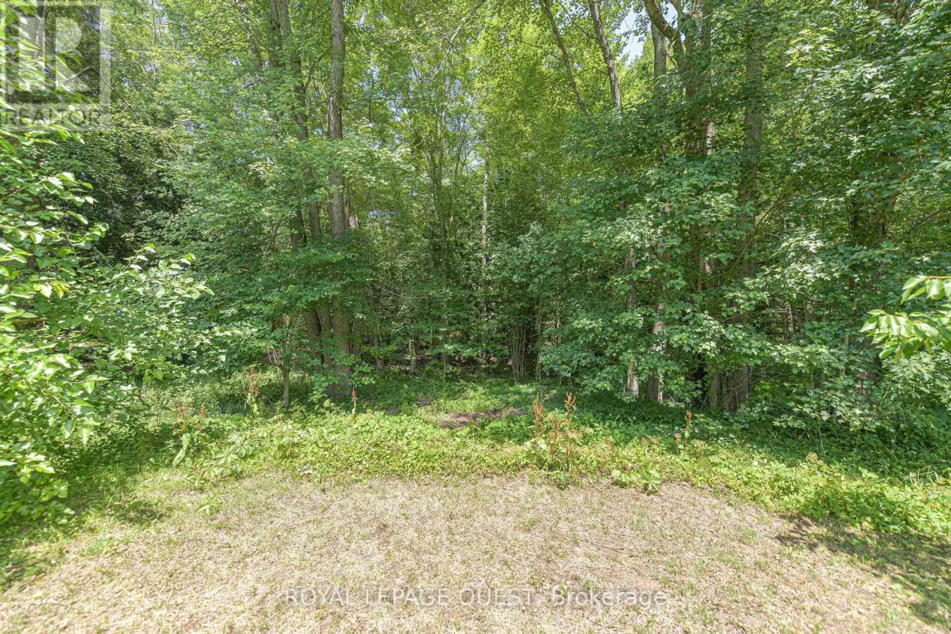 1046 SOUTHWOOD ROAD - Image 4