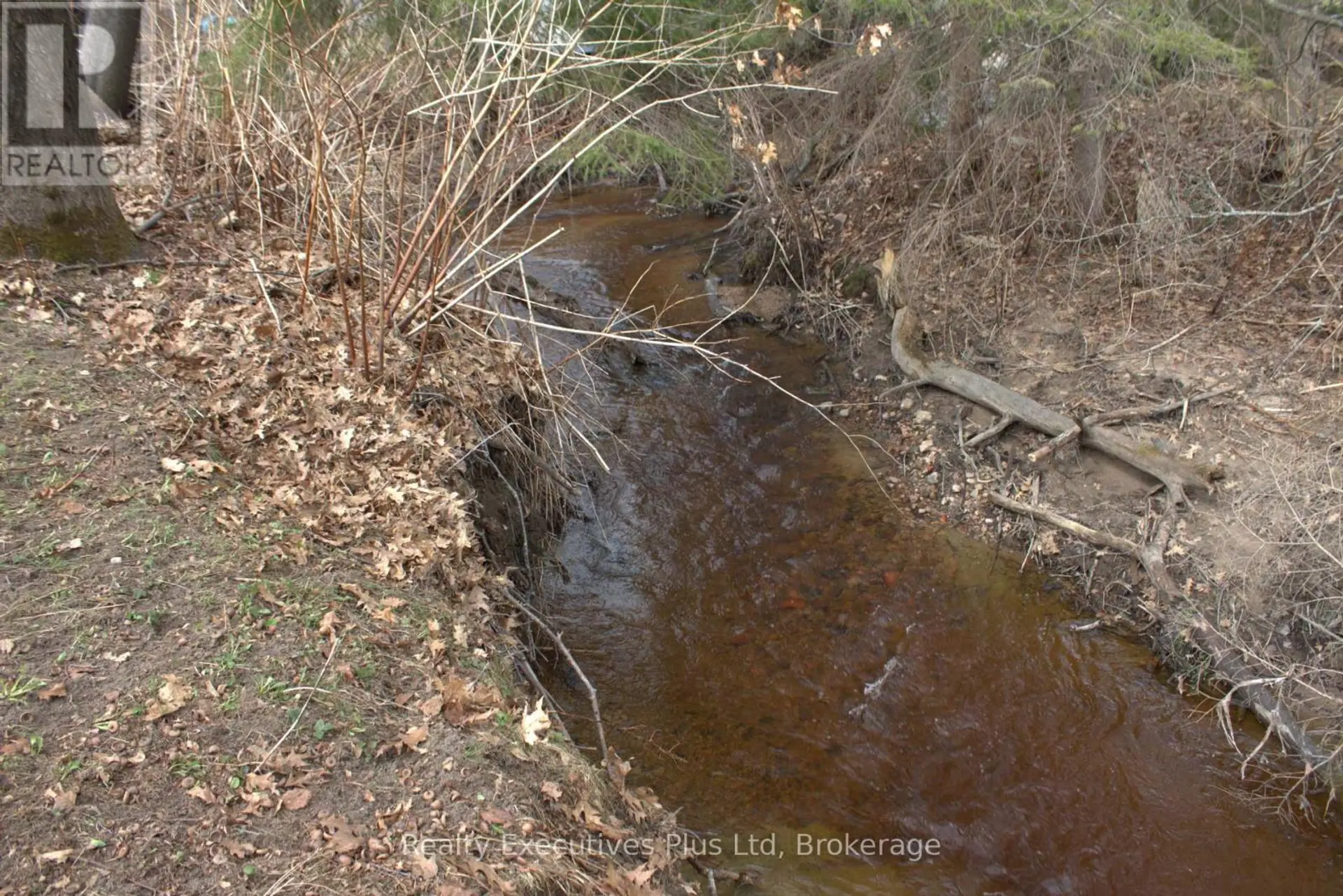 15 BARRIE STREET - Image 16