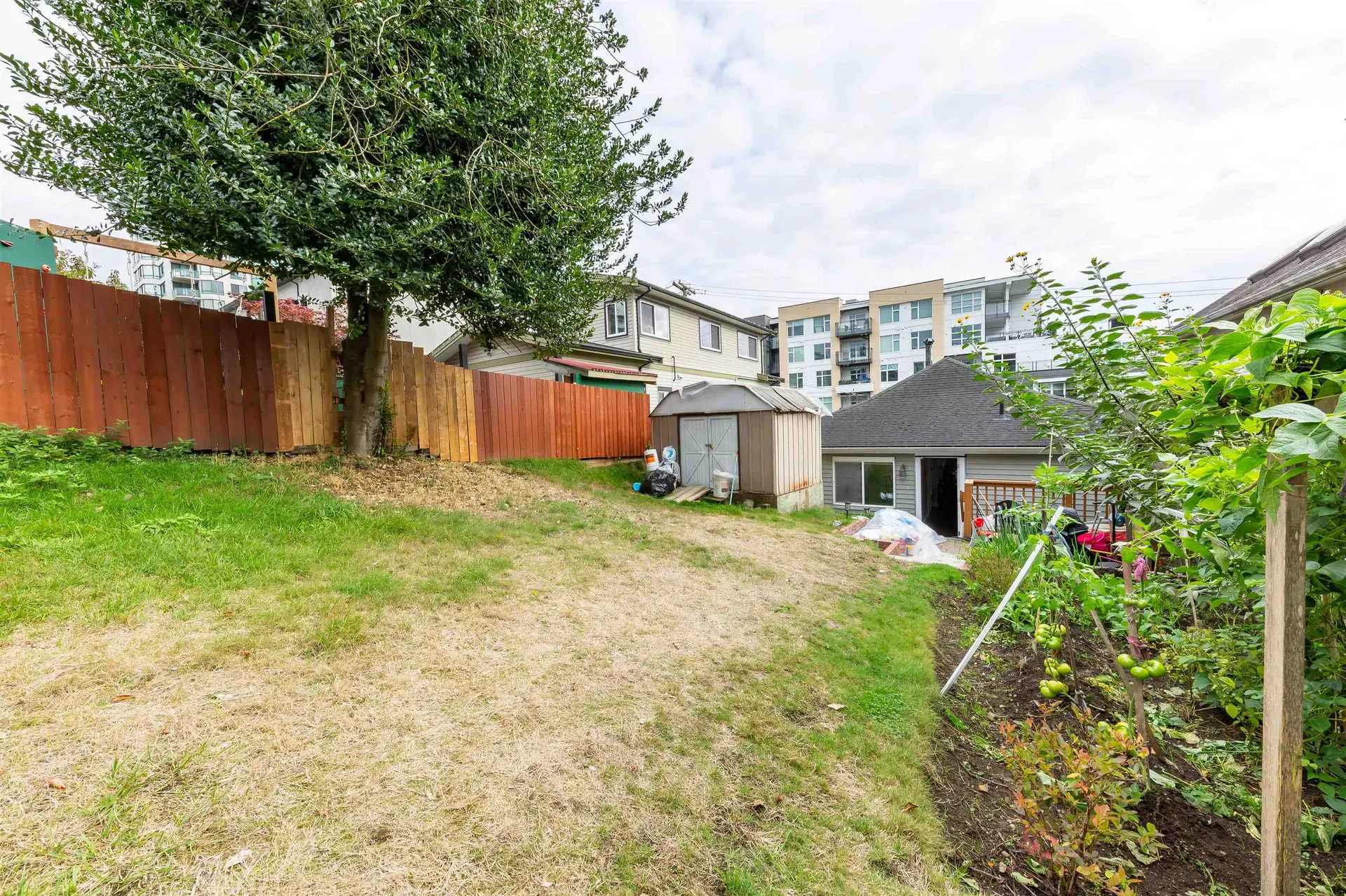 1011 Auckland Street - Image 16