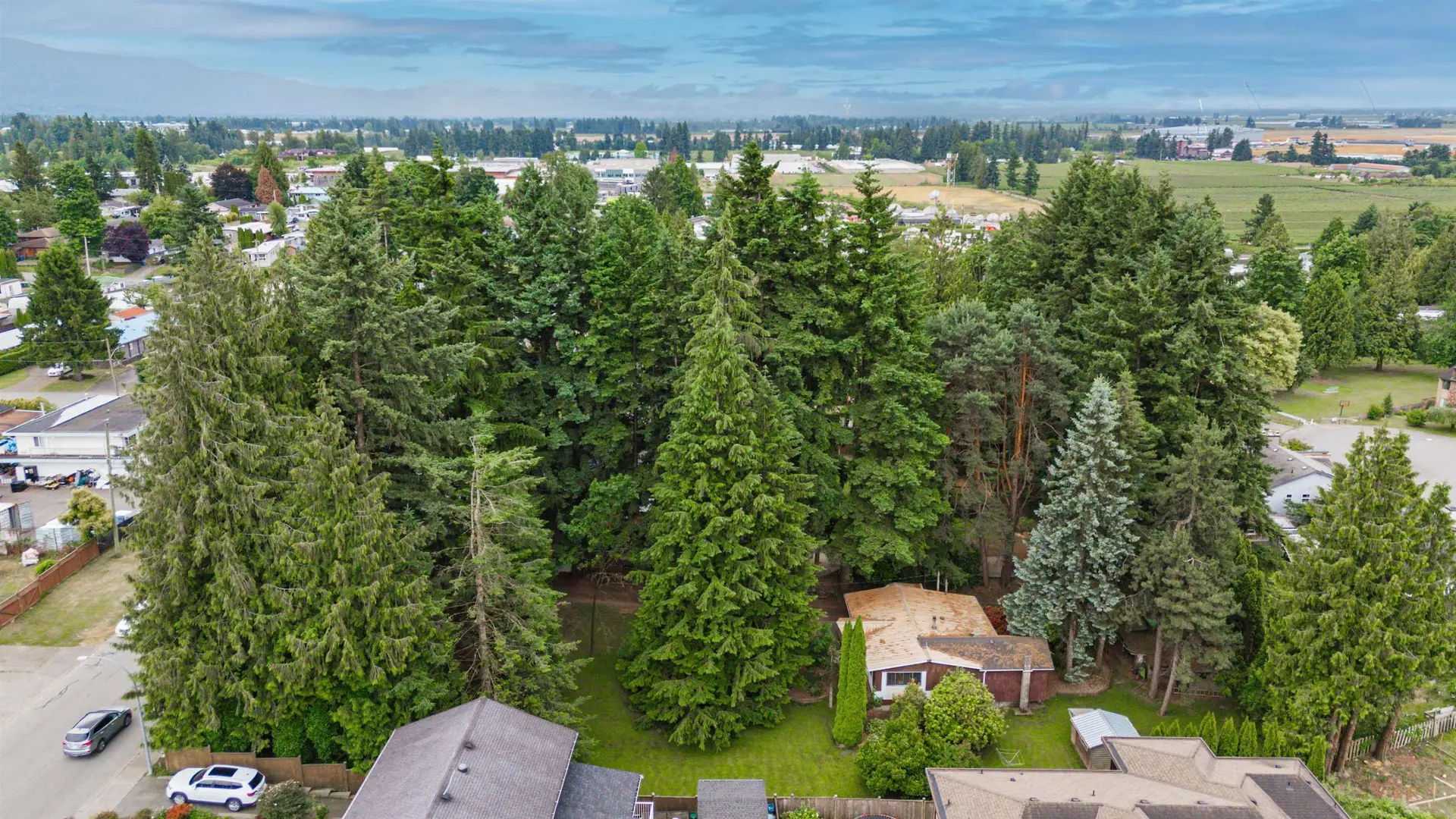 Property at 2161 Martens Street, Abbotsford, BC