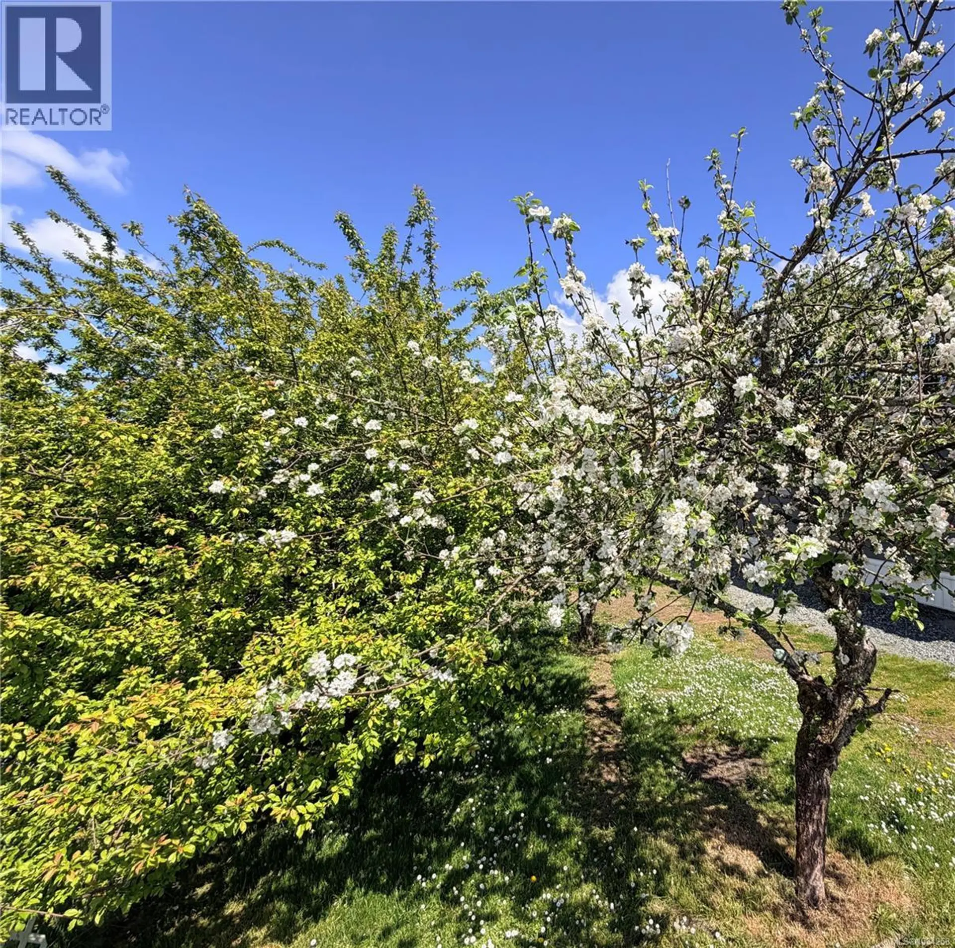 1322 Birchwood Rd - Image 3
