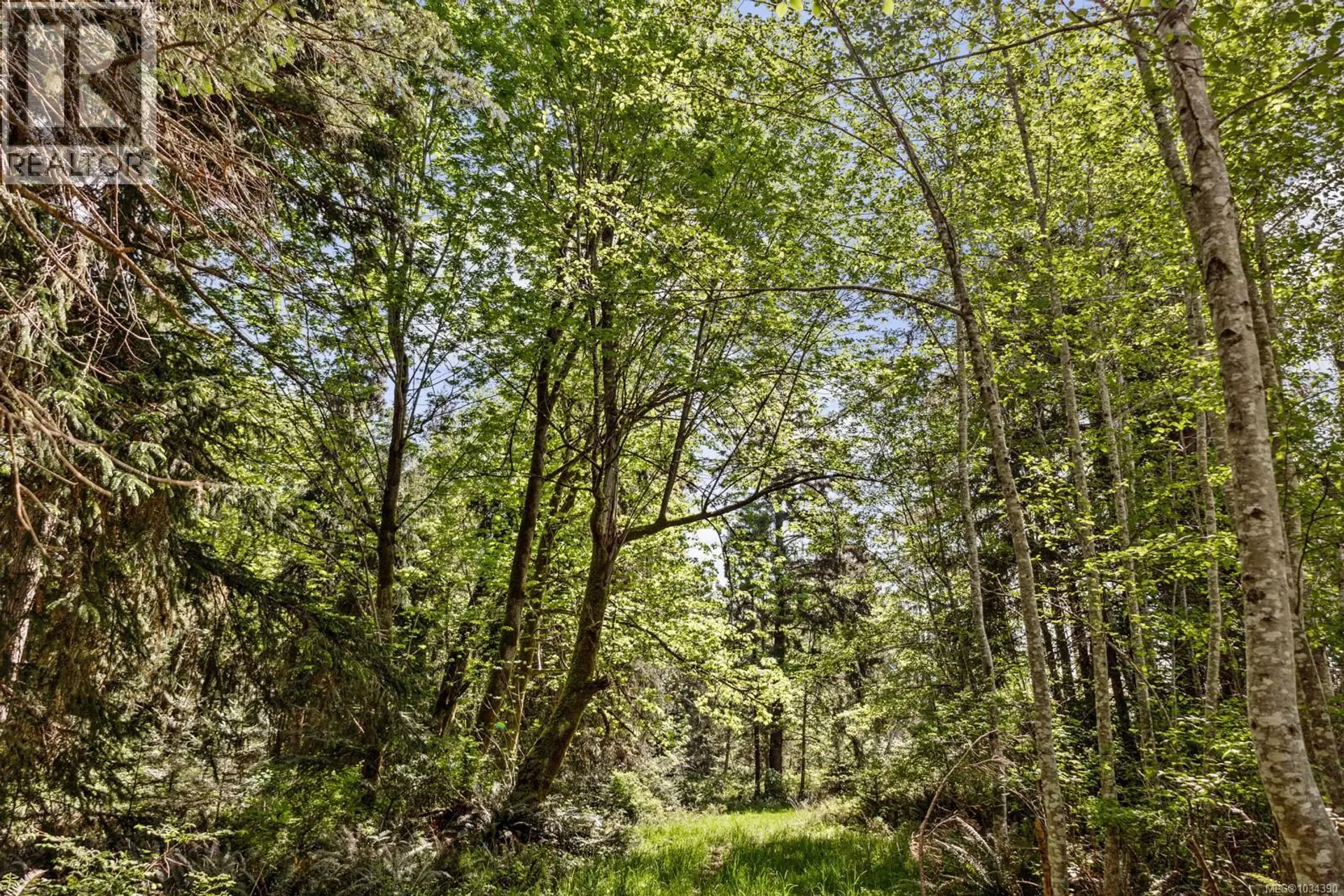 264 Sutil Rd - Image 18