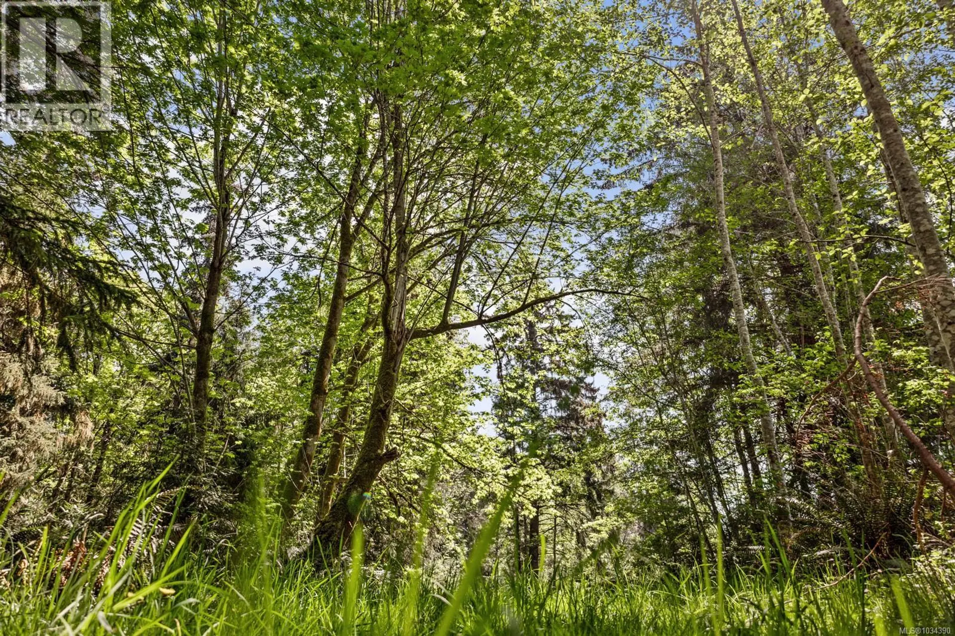 264 Sutil Rd - Image 14