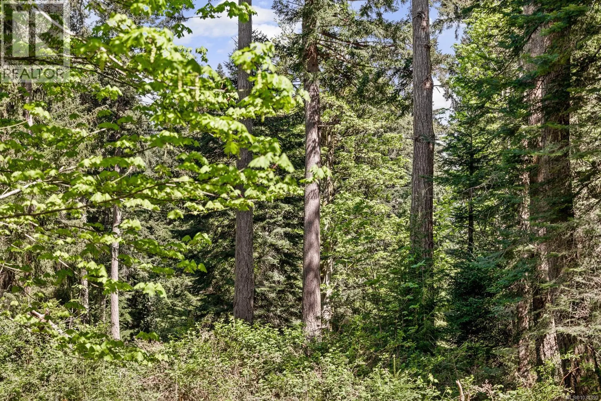 264 Sutil Rd - Image 10