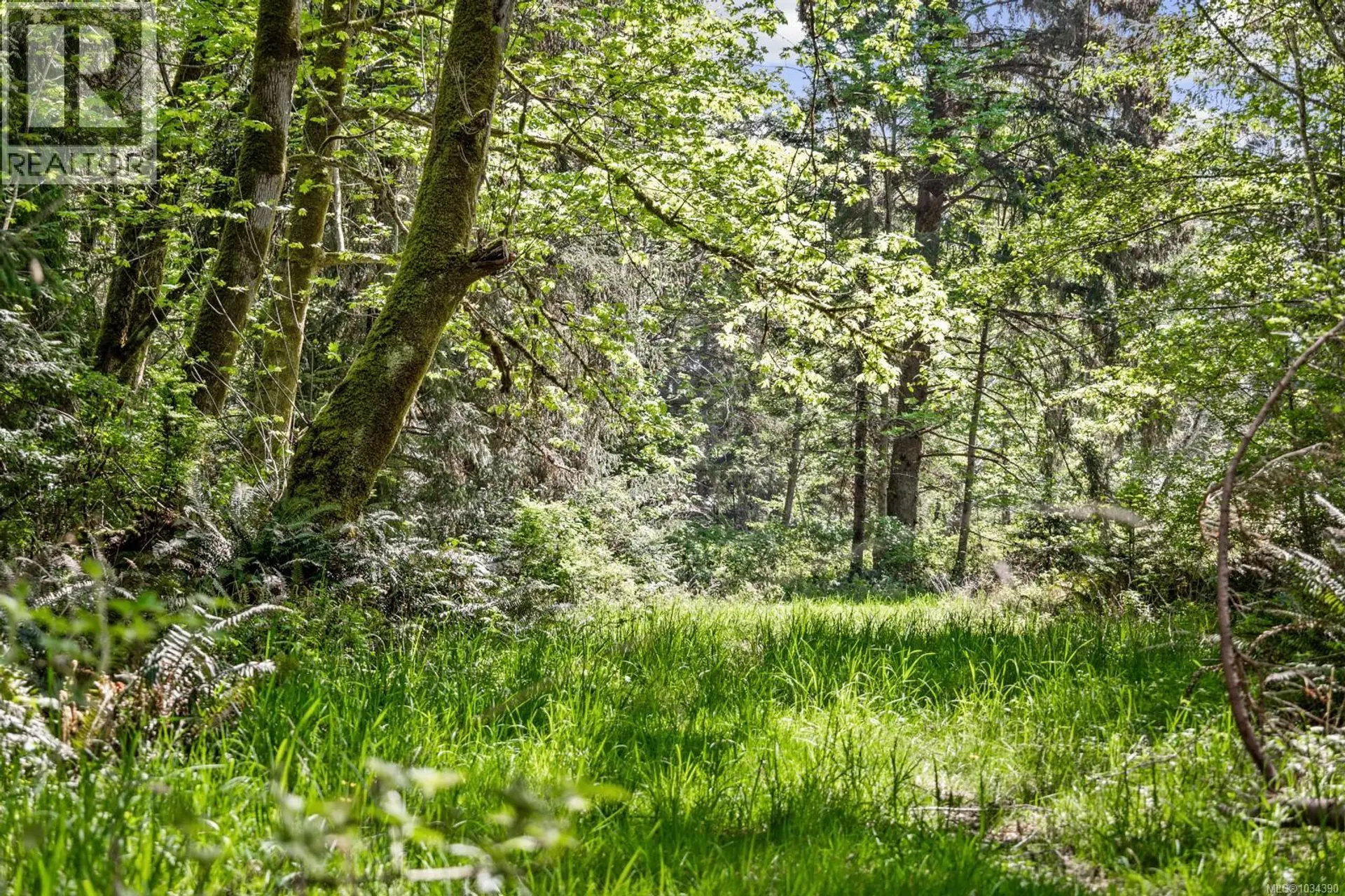 264 Sutil Rd - Image 17