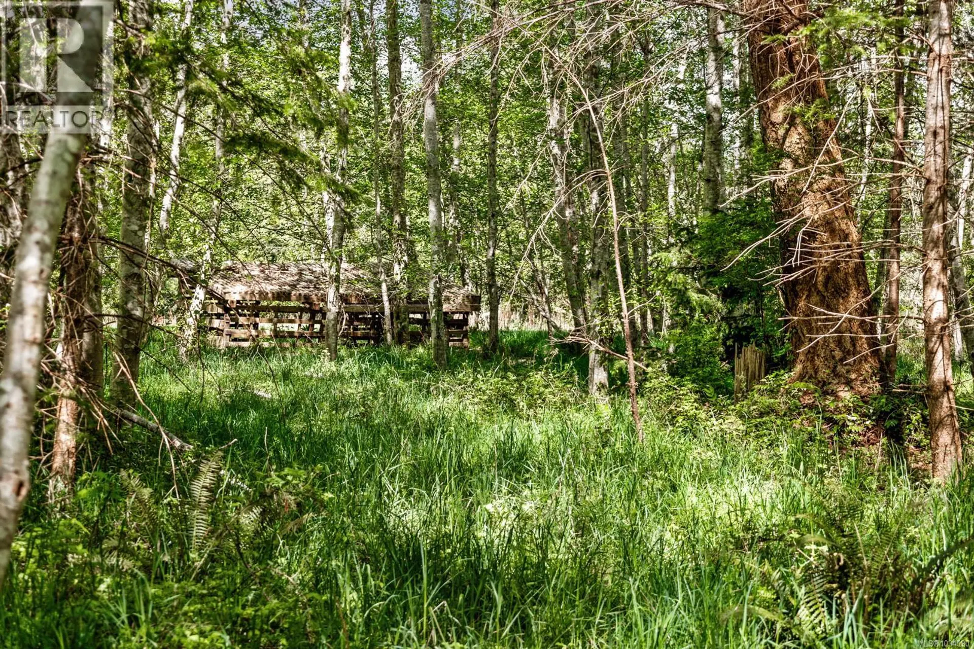 264 Sutil Rd - Image 8