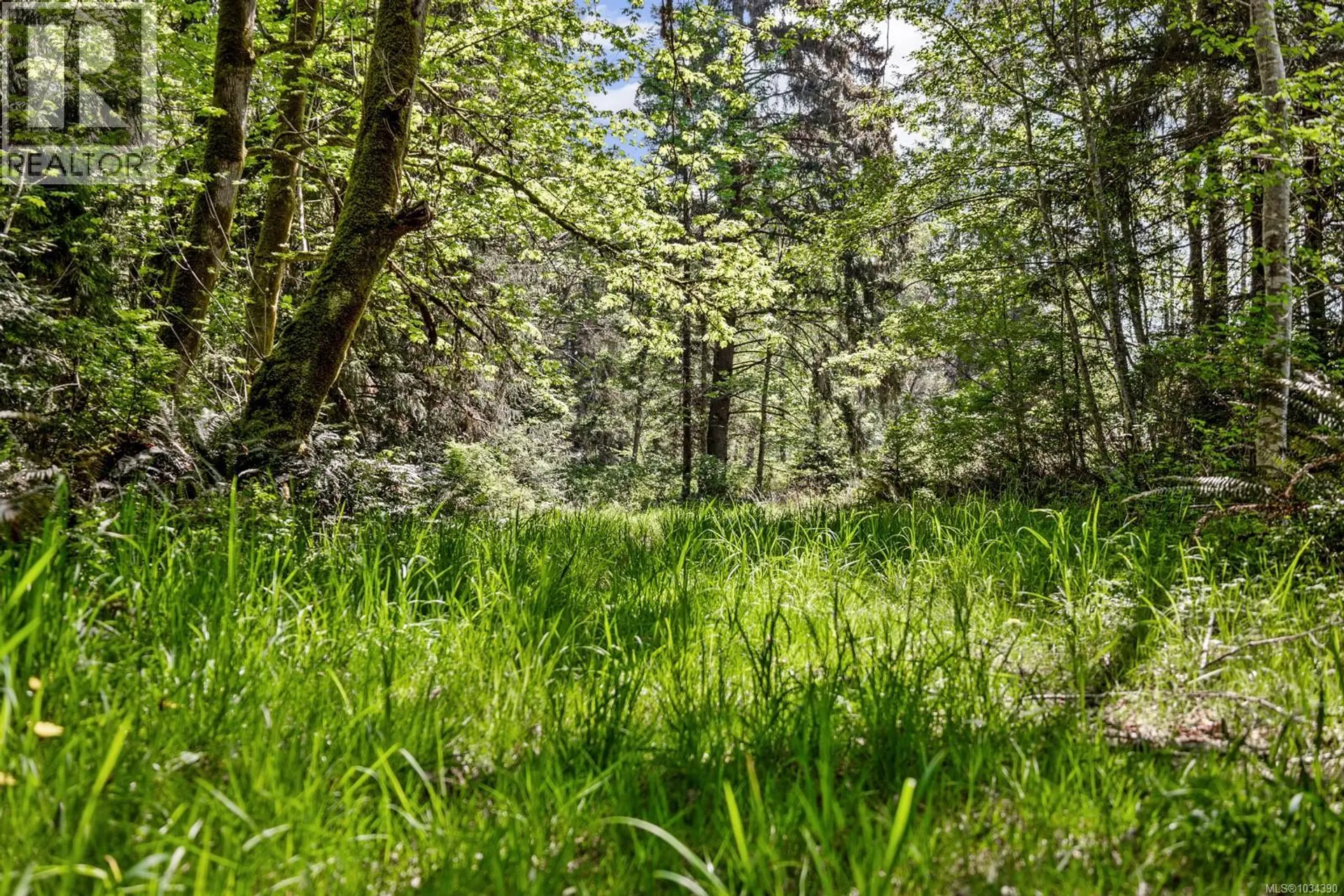 264 Sutil Rd - Image 13