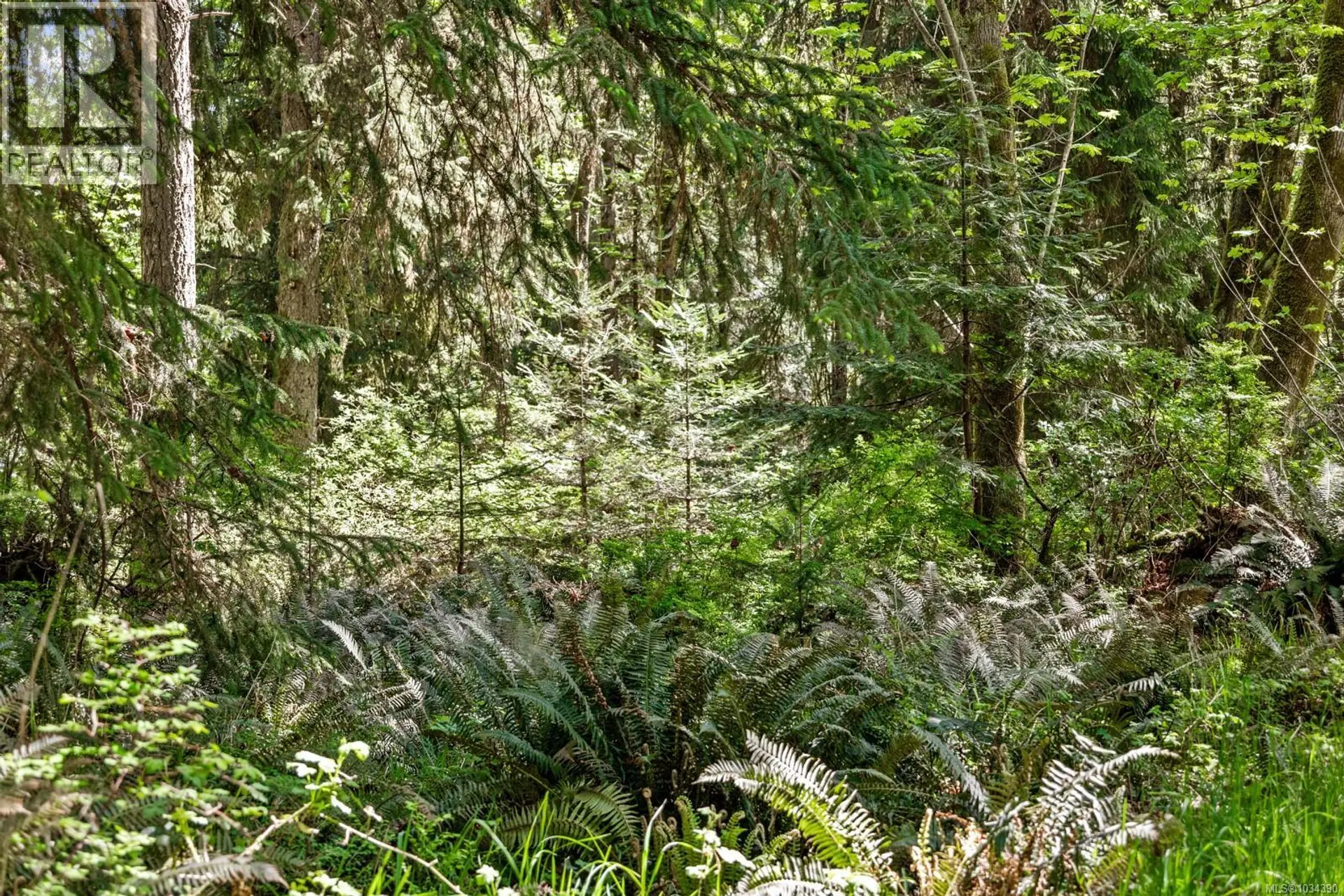 264 Sutil Rd - Image 16