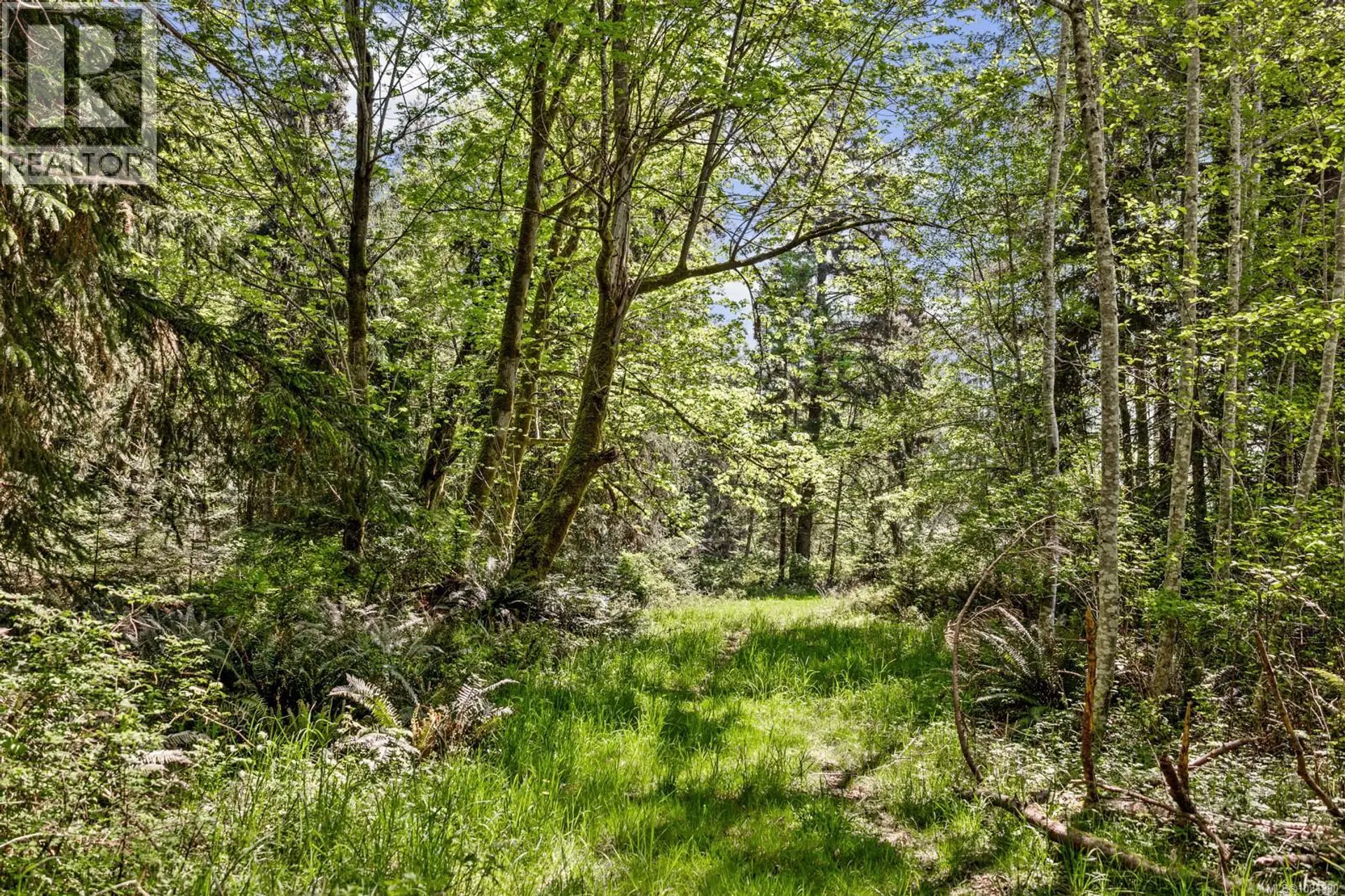 264 Sutil Rd - Image 19