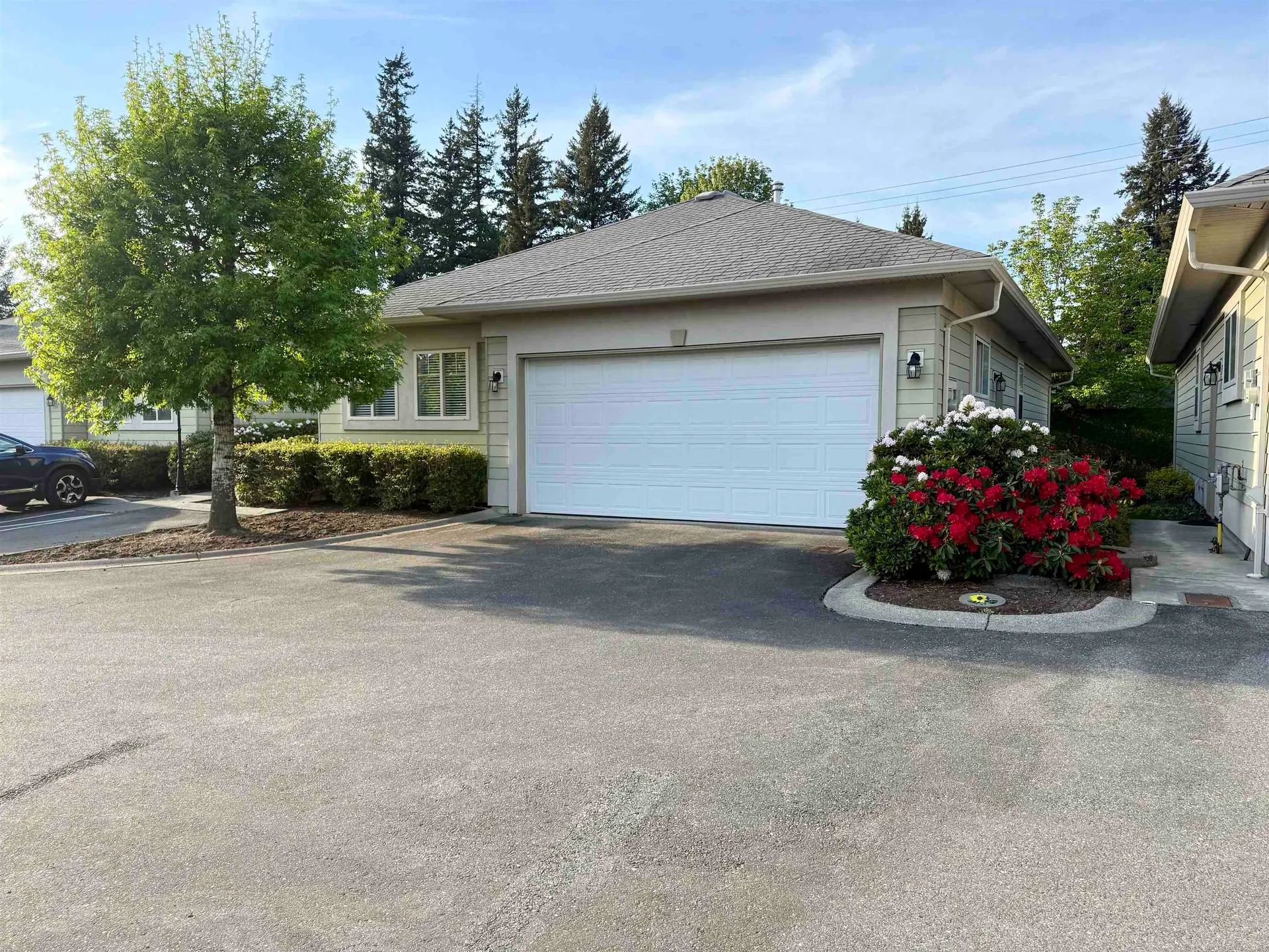 Property at #14 34159 Fraser Street, Abbotsford, BC