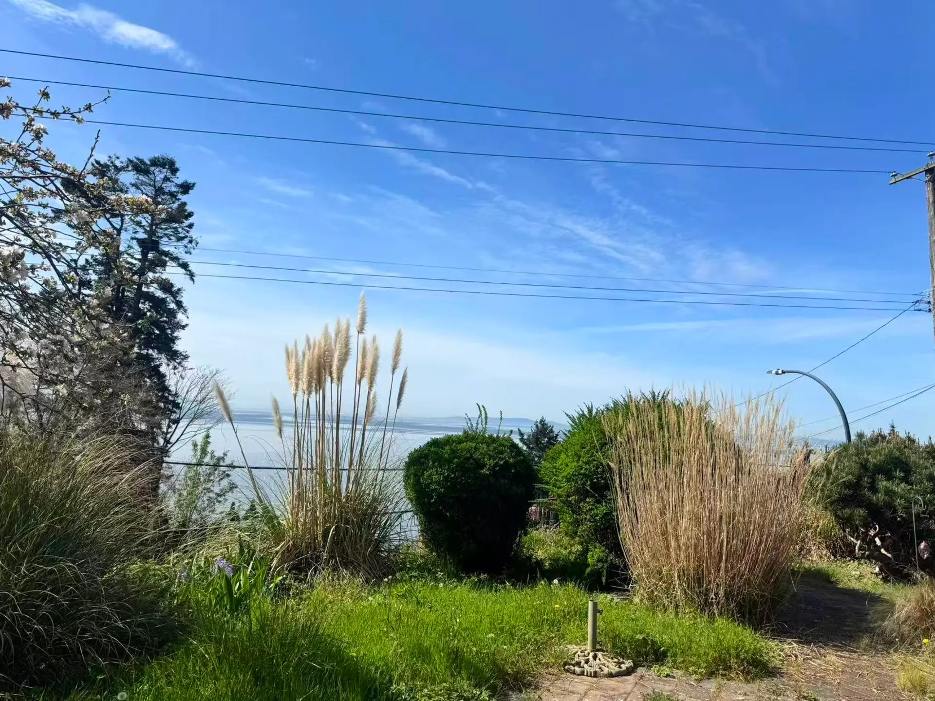 14391 Marine Drive - Image 3