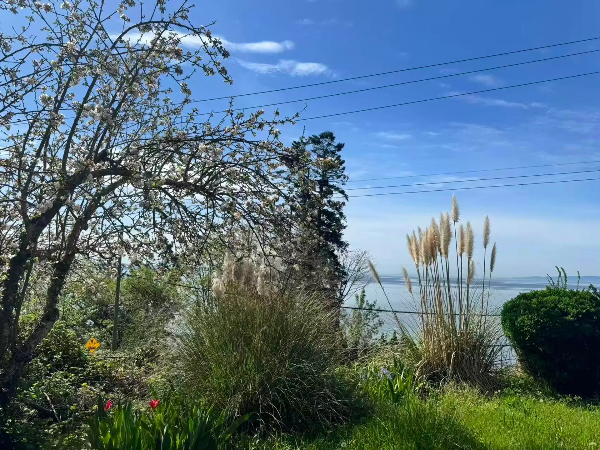 14391 Marine Drive - Image 4