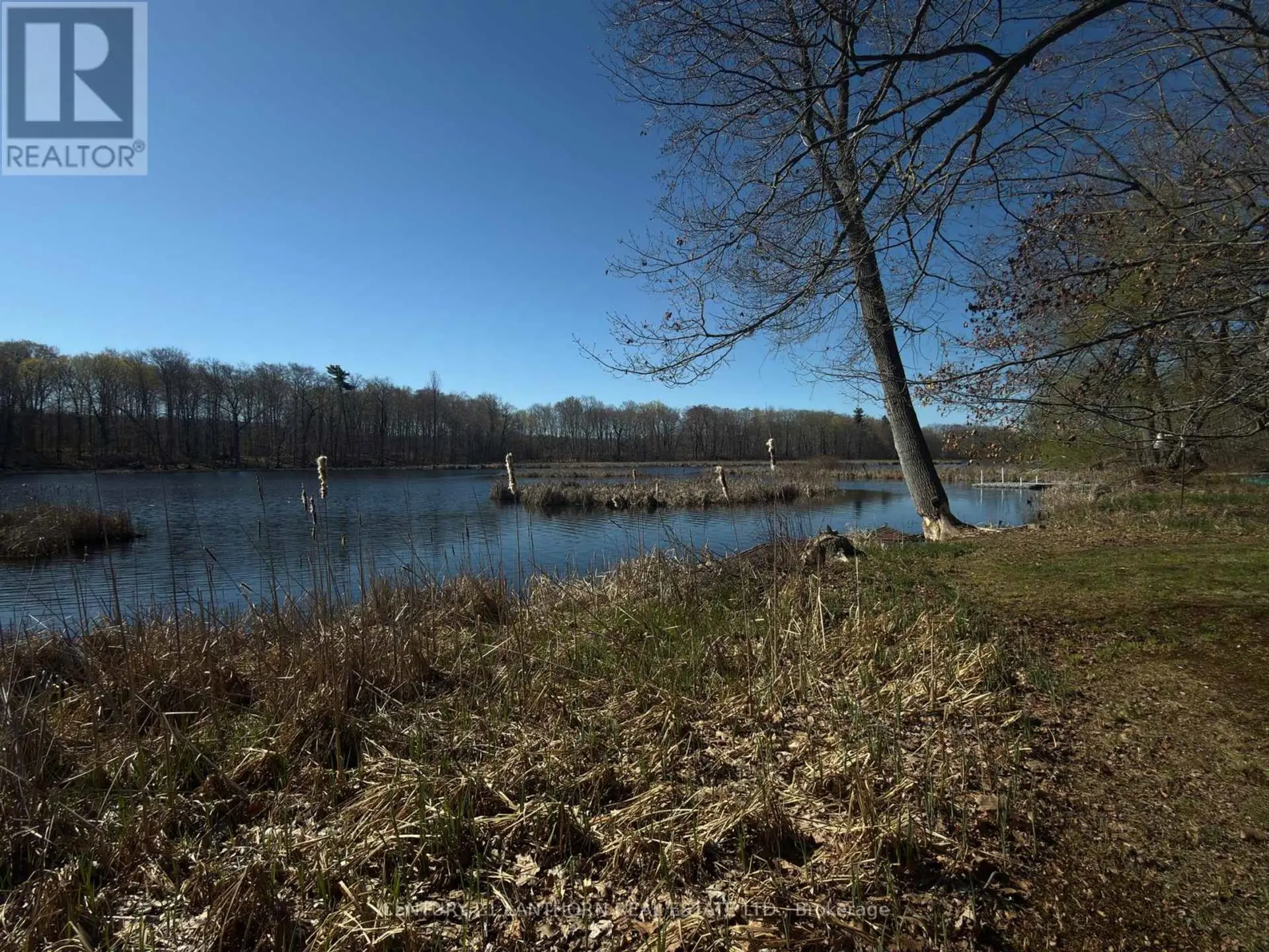 210 C STORMS ROAD - Image 13