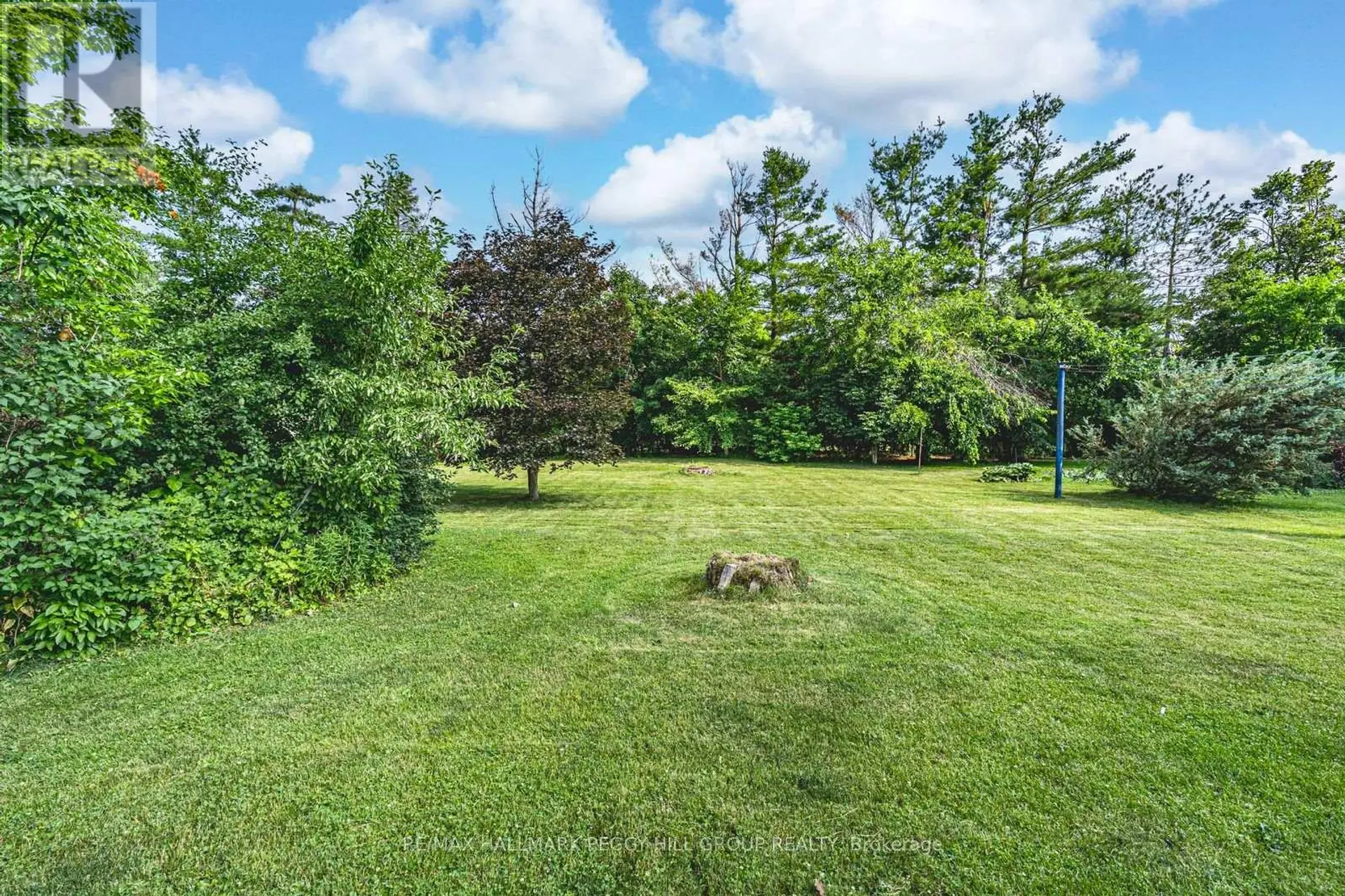 250 SUNNYBRAE AVENUE - Image 14