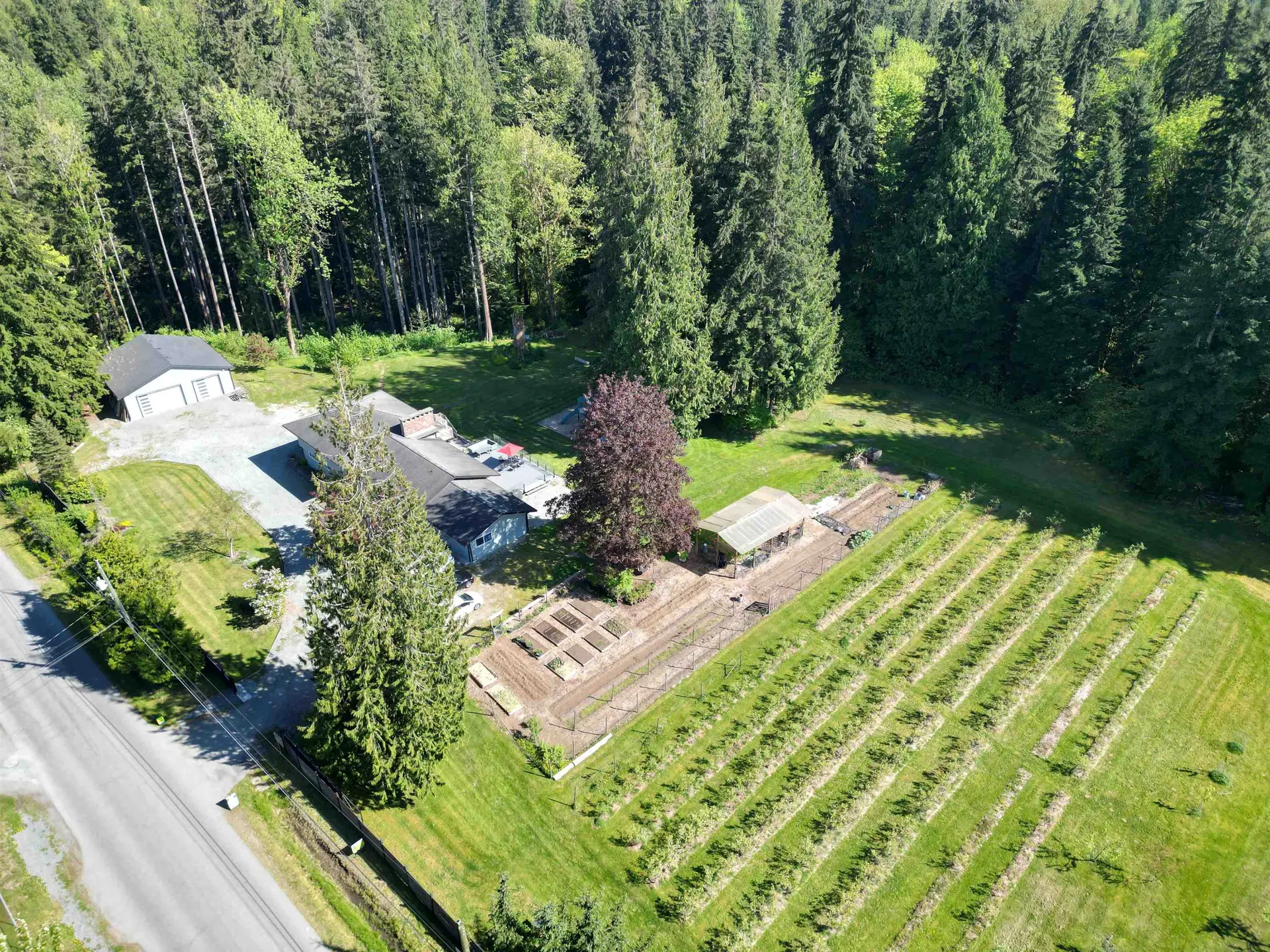 Property at 25908 124 Avenue, Maple Ridge, BC