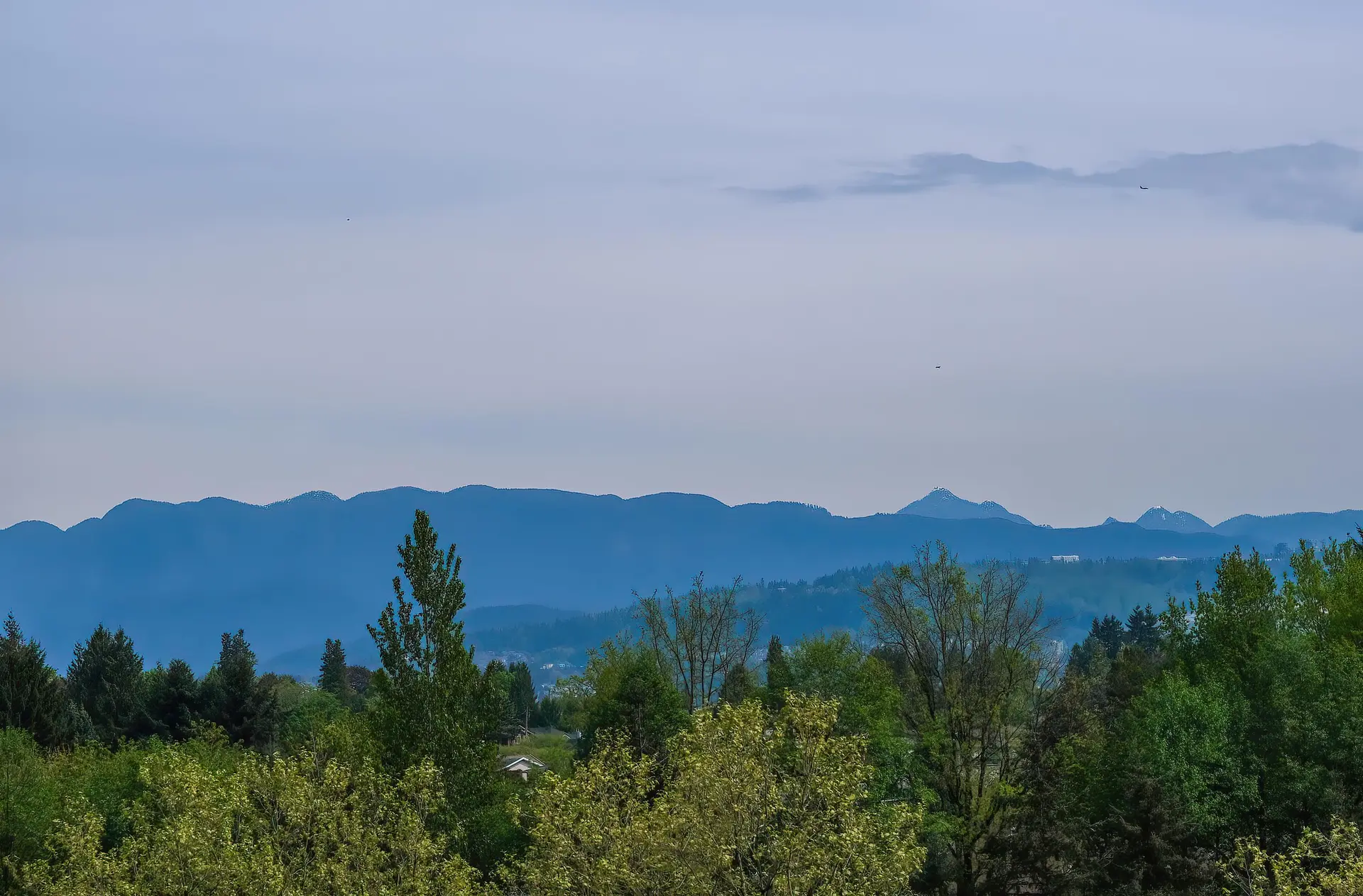 #915 5665 Boundary Road - Image 18