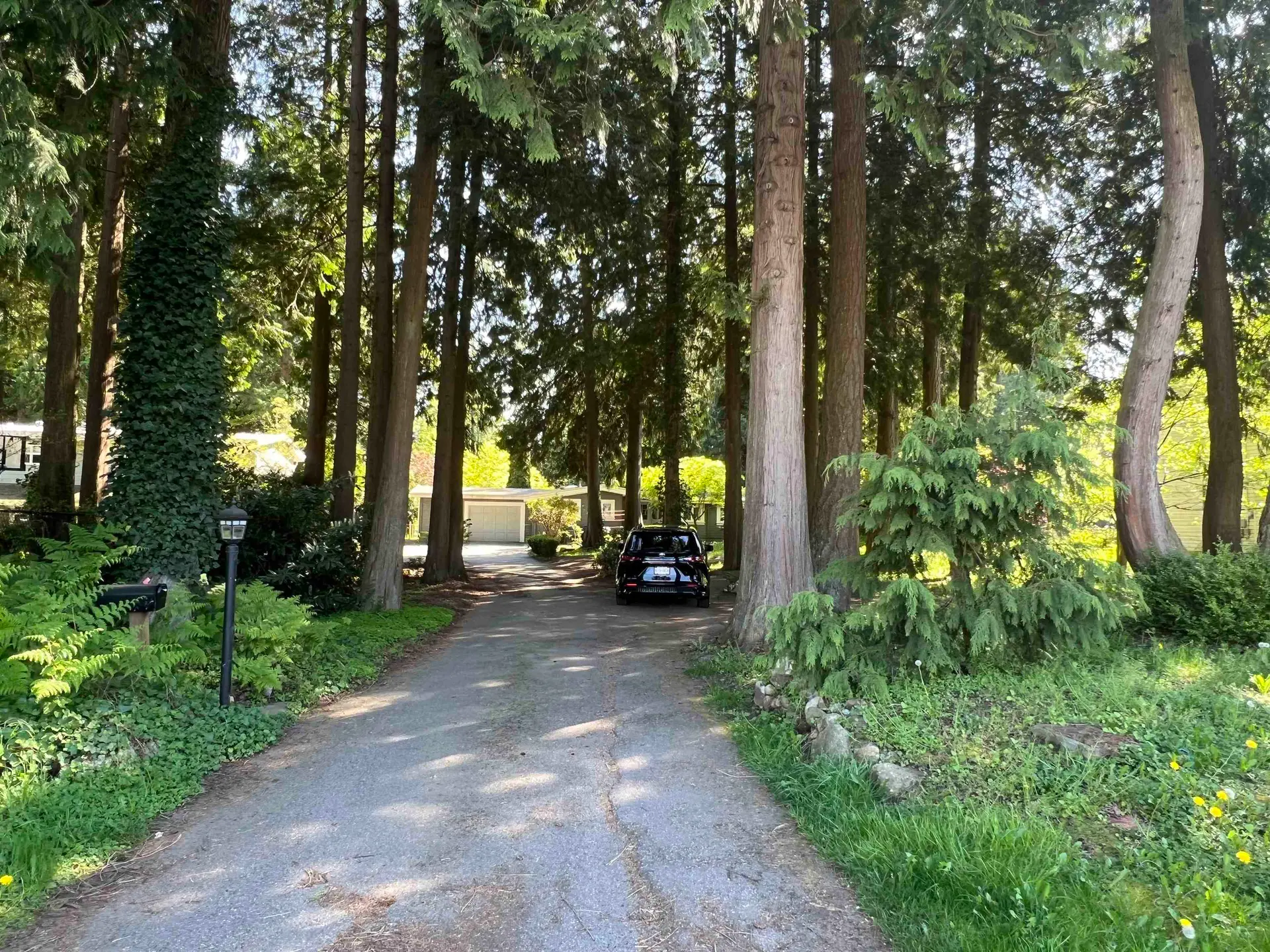 Property at 12564 24 Avenue, Surrey, BC
