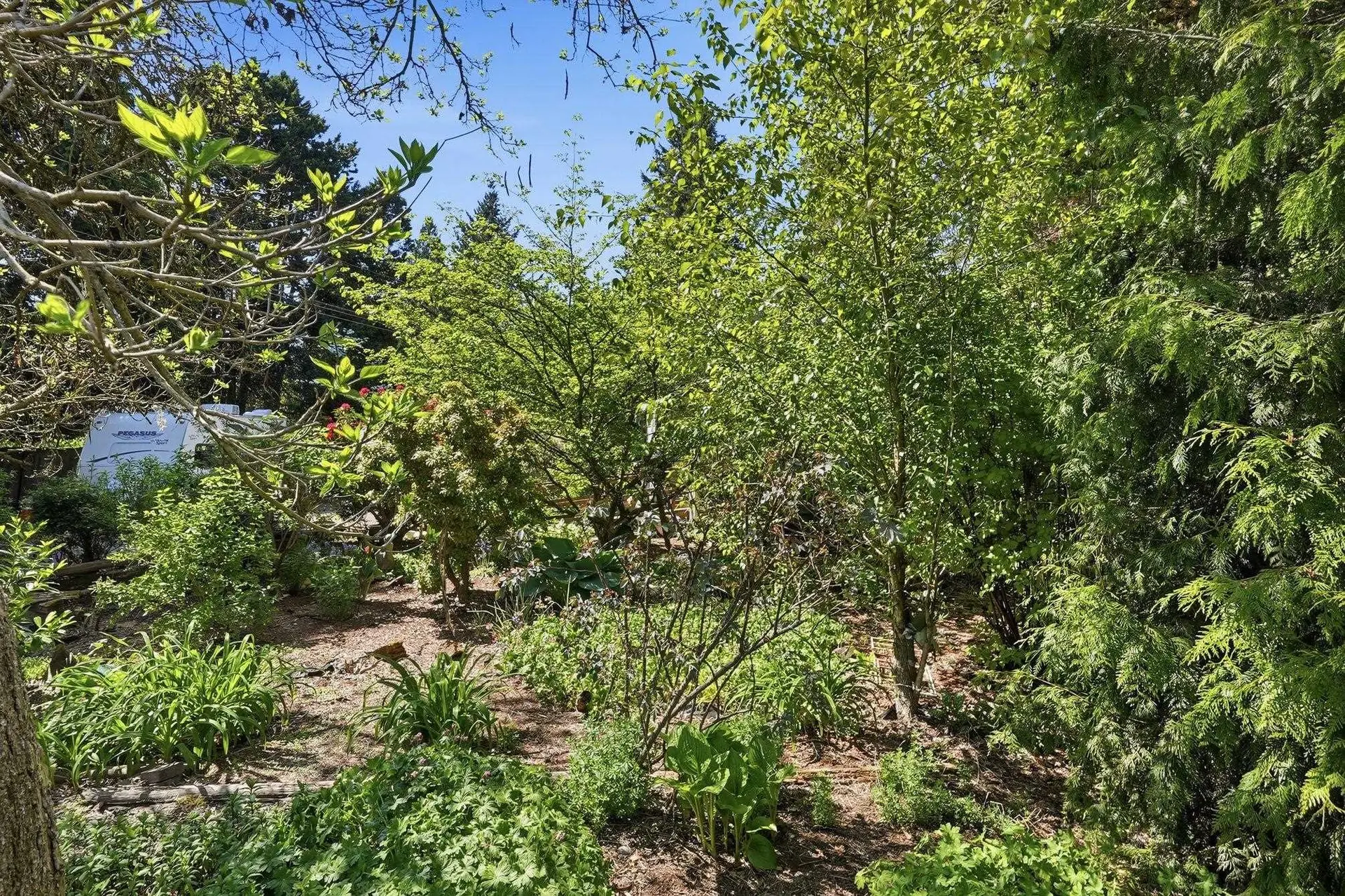 8983 Trattle Street - Image 14