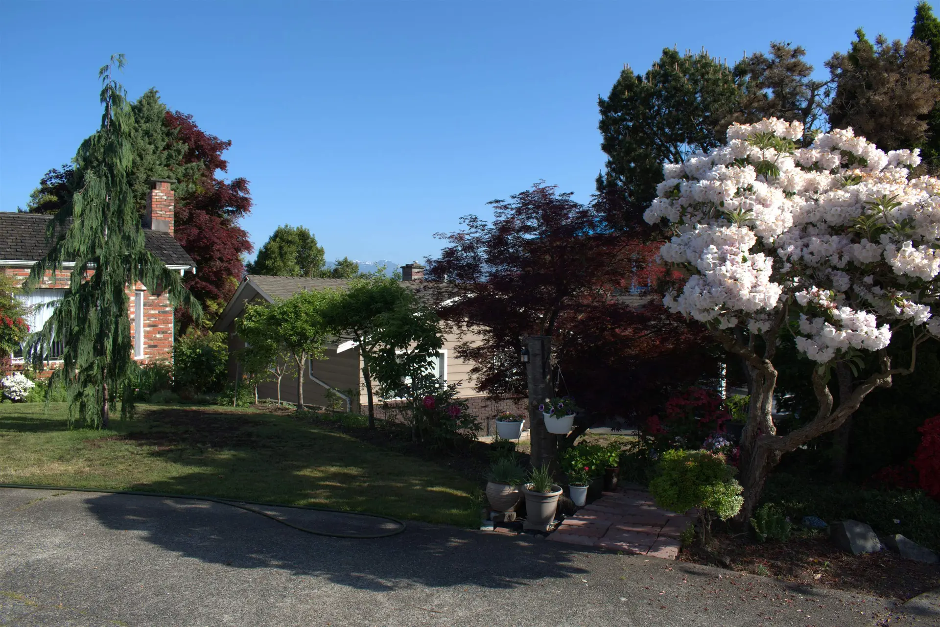 Property at 7879 Welsley Drive, Burnaby, BC