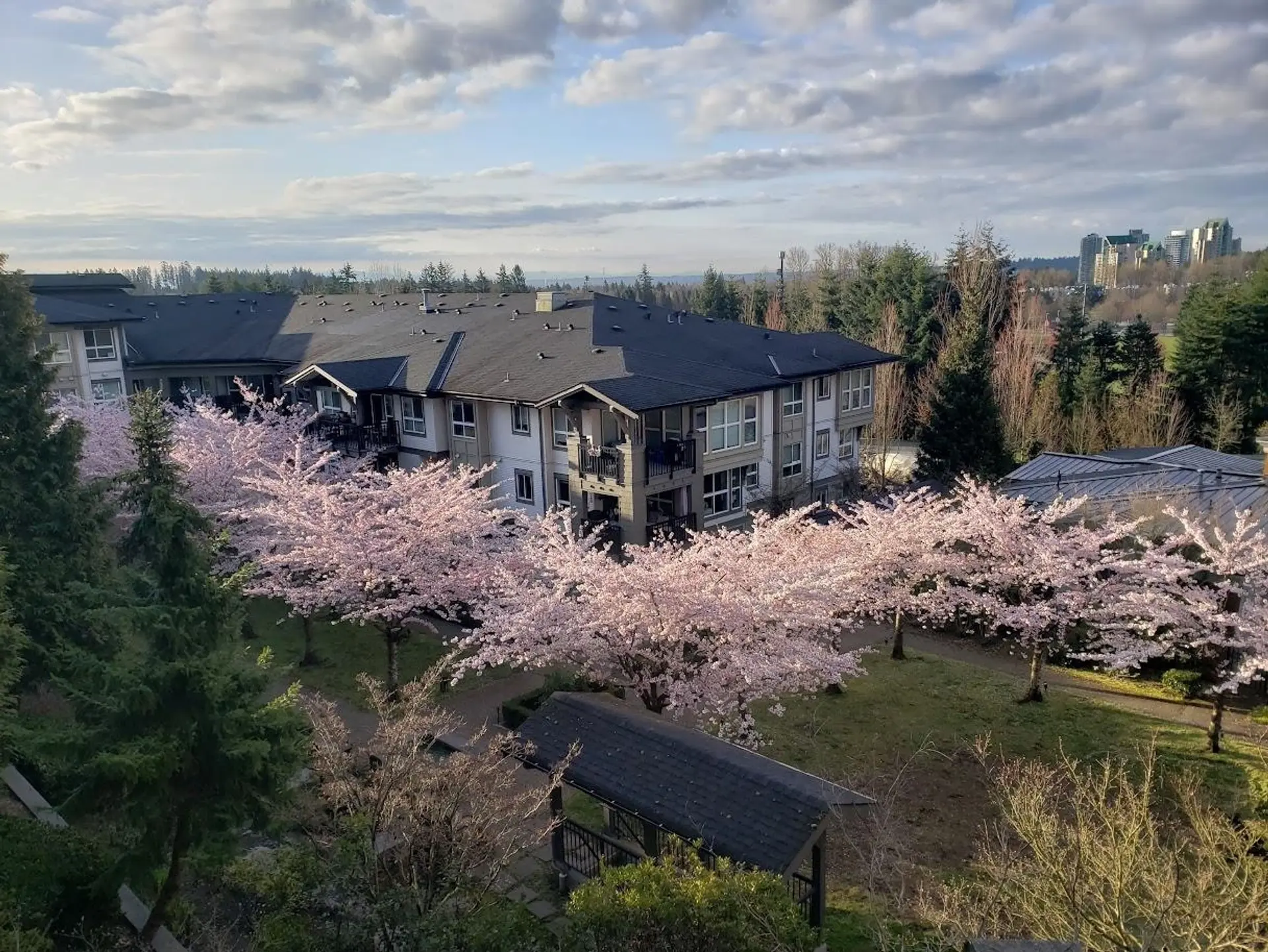 Property at #201 3082 Dayanee Springs Boulevard, Coquitlam, BC