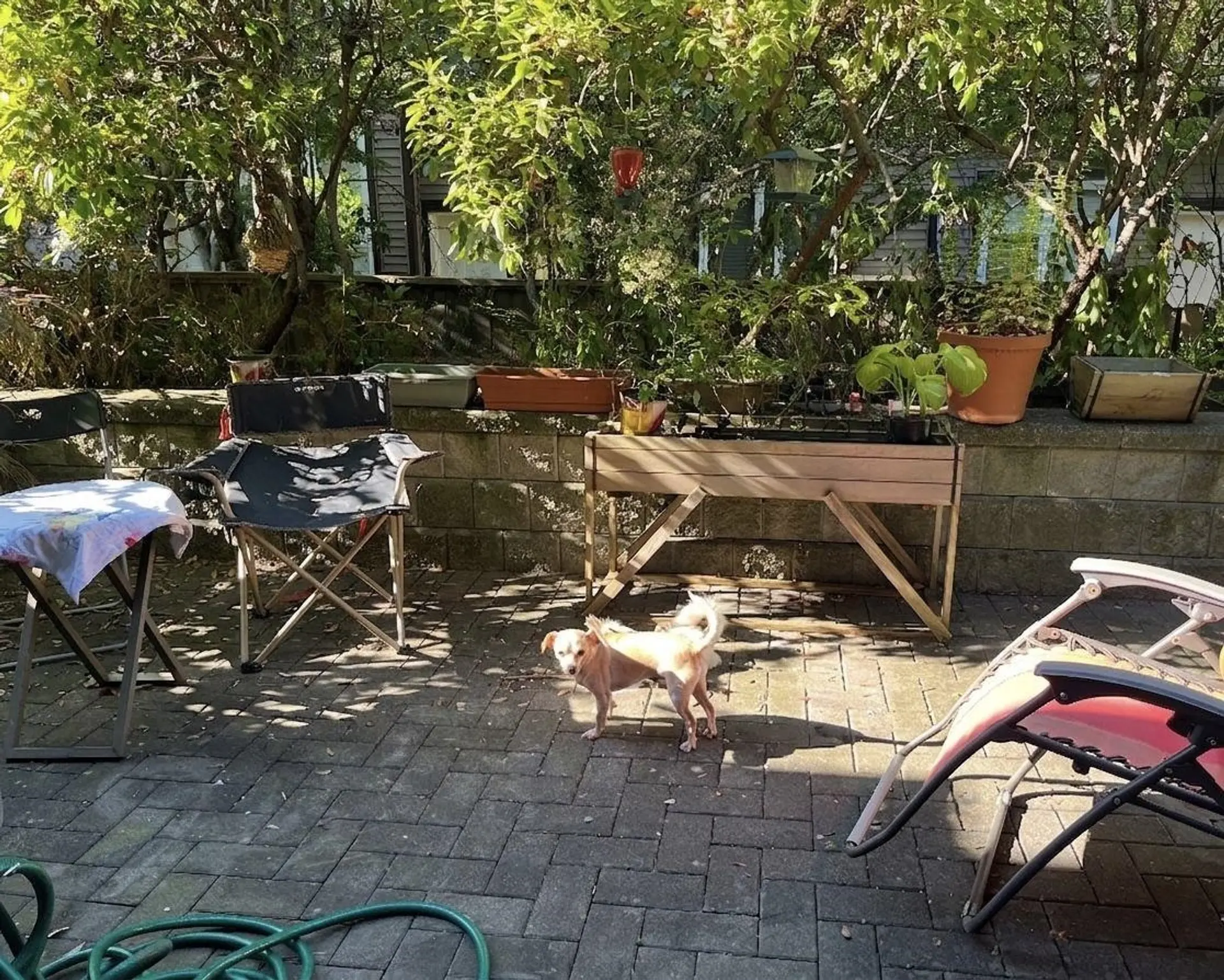 #105 6588 Elgin Avenue - Image 12